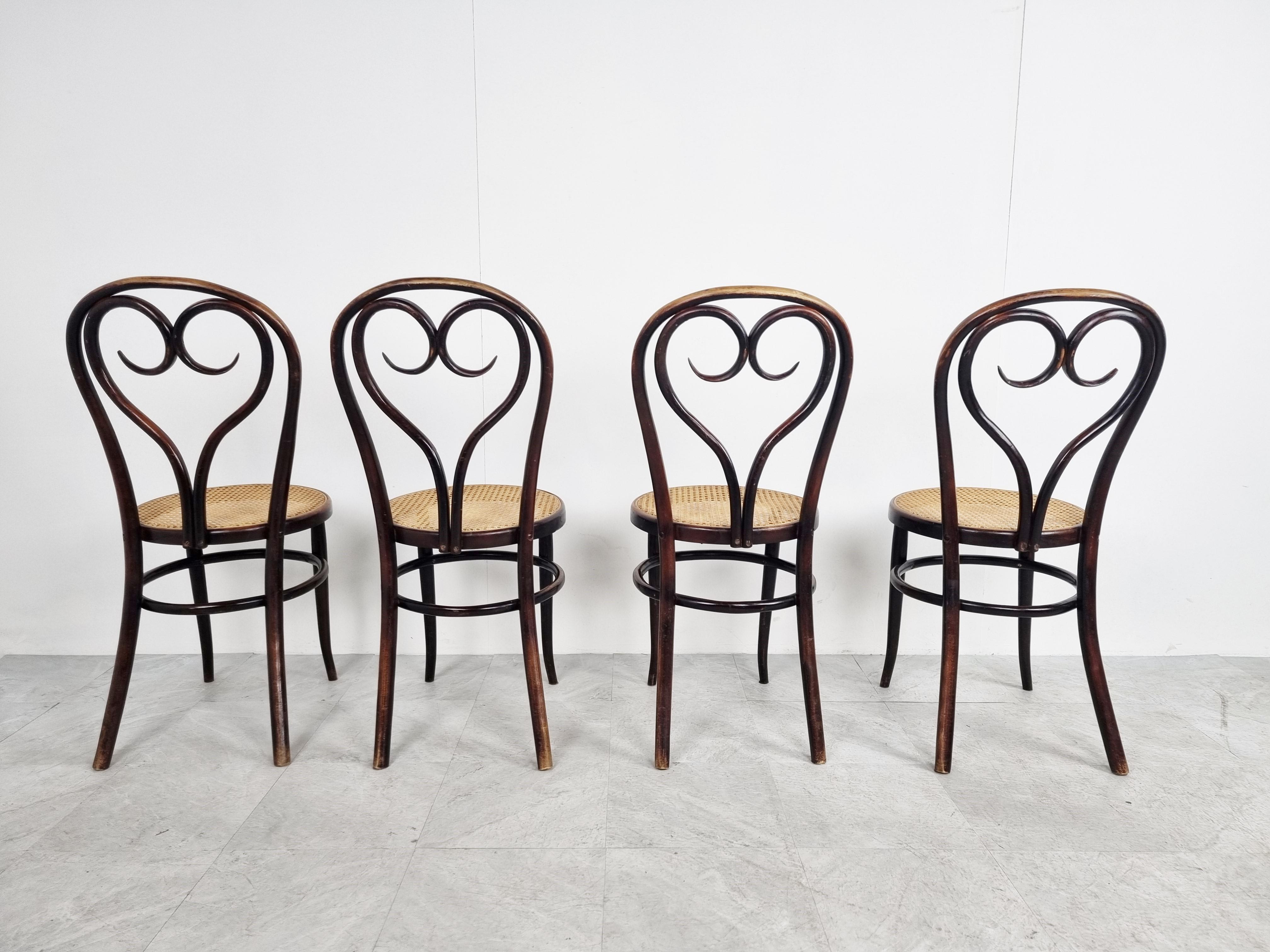 Thonet style bentwood Dining Chairs, 1920s In Good Condition In HEVERLEE, BE
