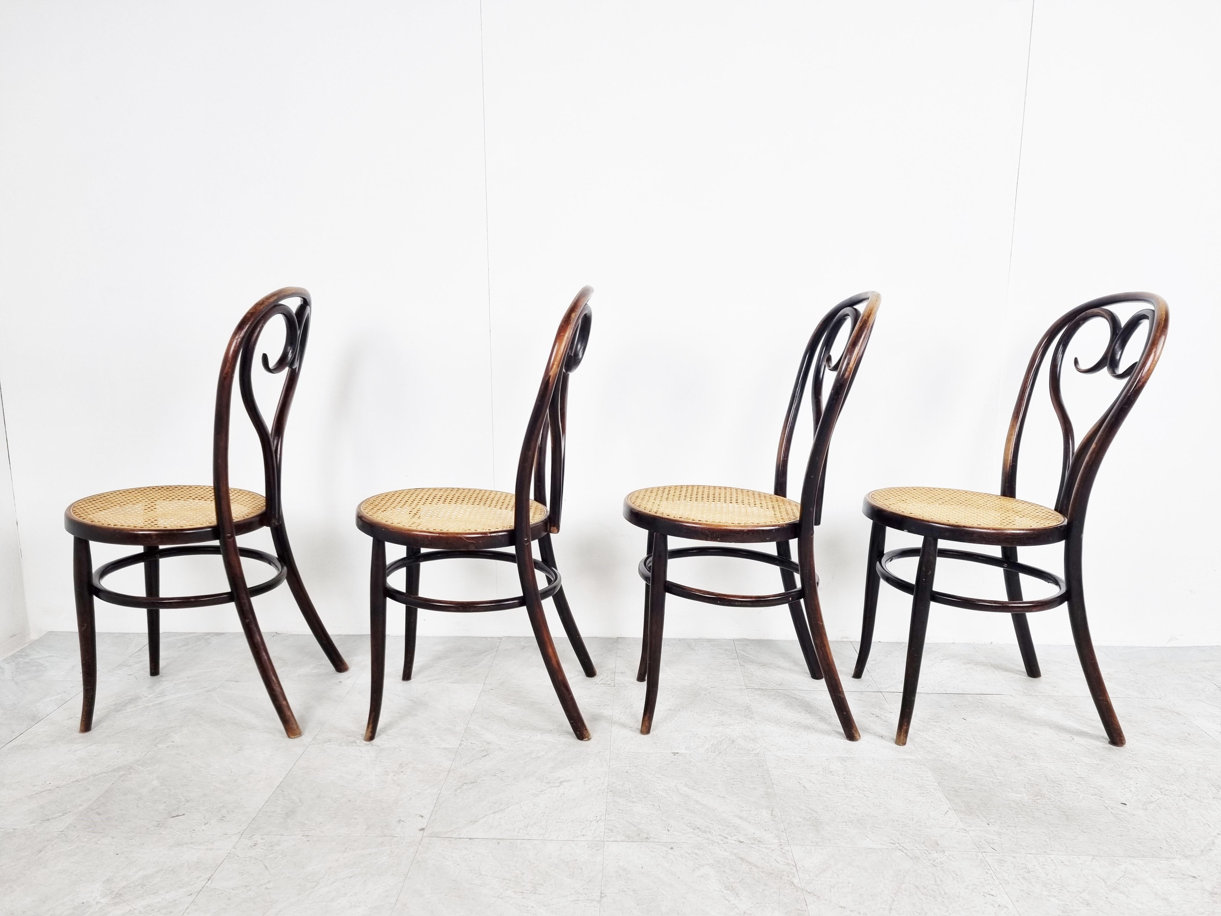 Early 20th Century Thonet style bentwood Dining Chairs, 1920s
