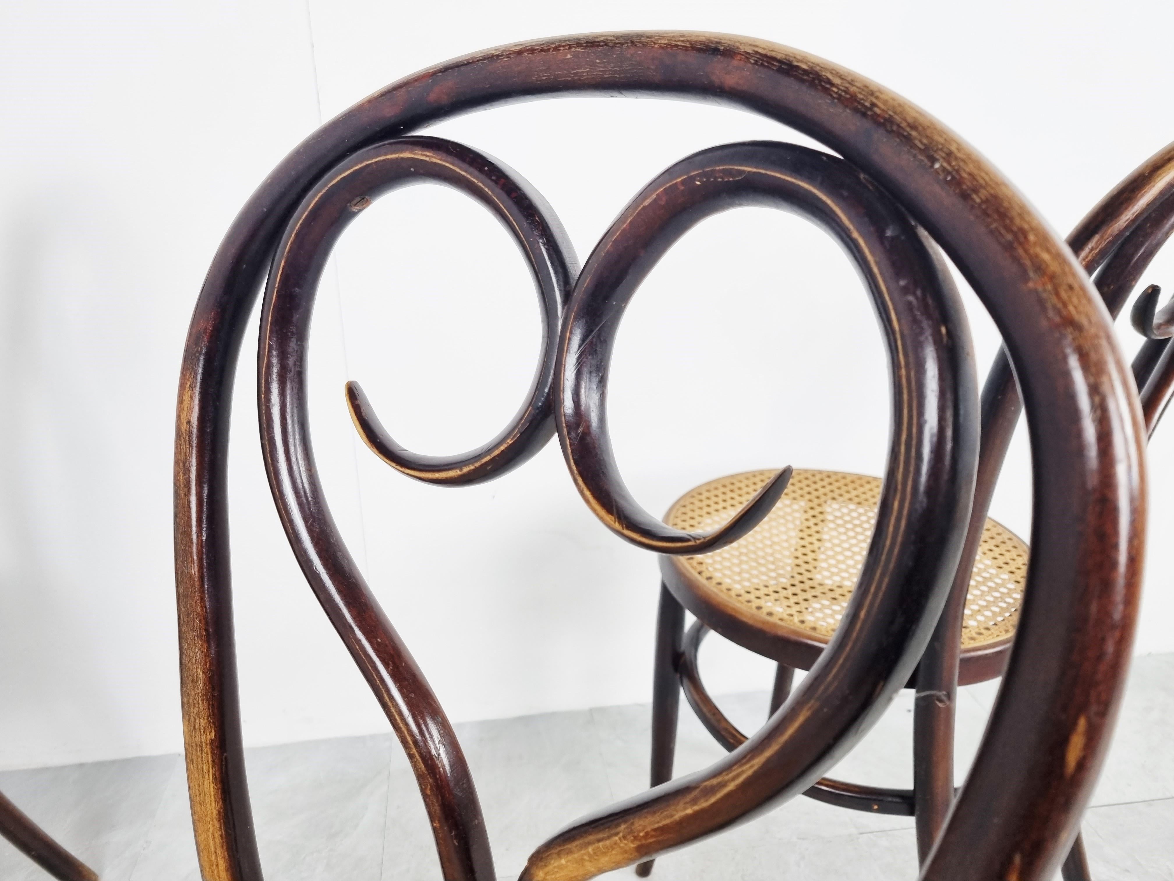 Cane Thonet style bentwood Dining Chairs, 1920s