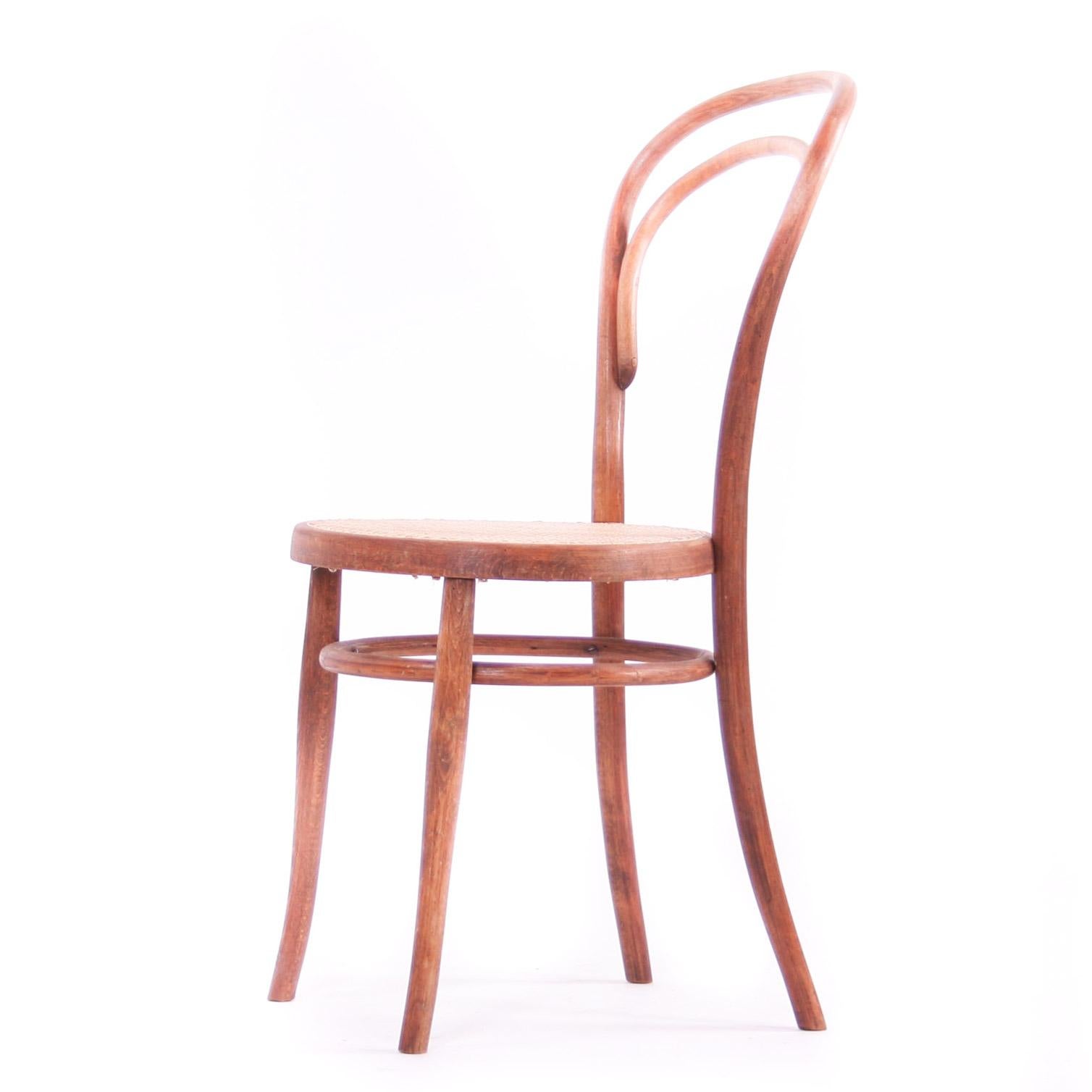 Czech Thonet Style Chair type Nr. 14 For Sale