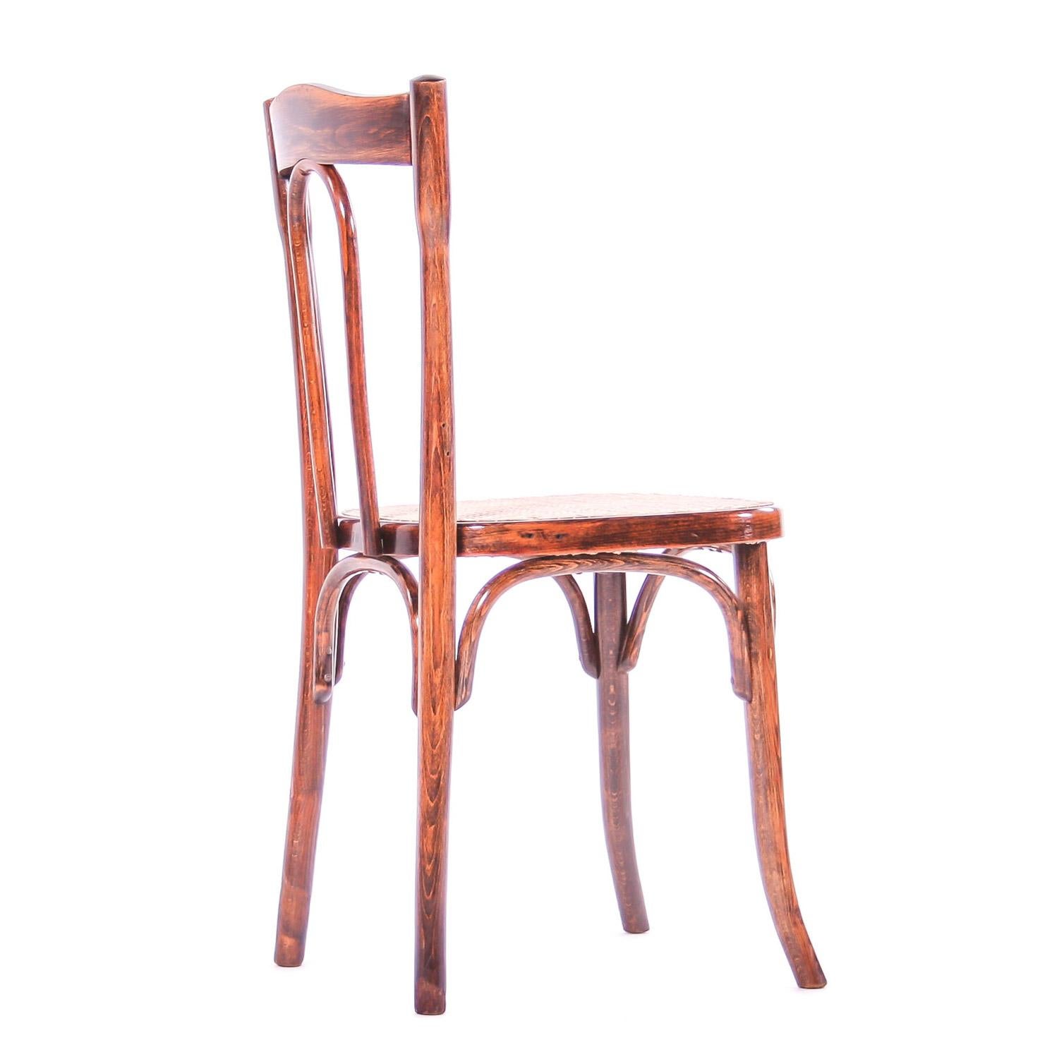 Czech Thonet Style Chair Type Nr. 18 For Sale