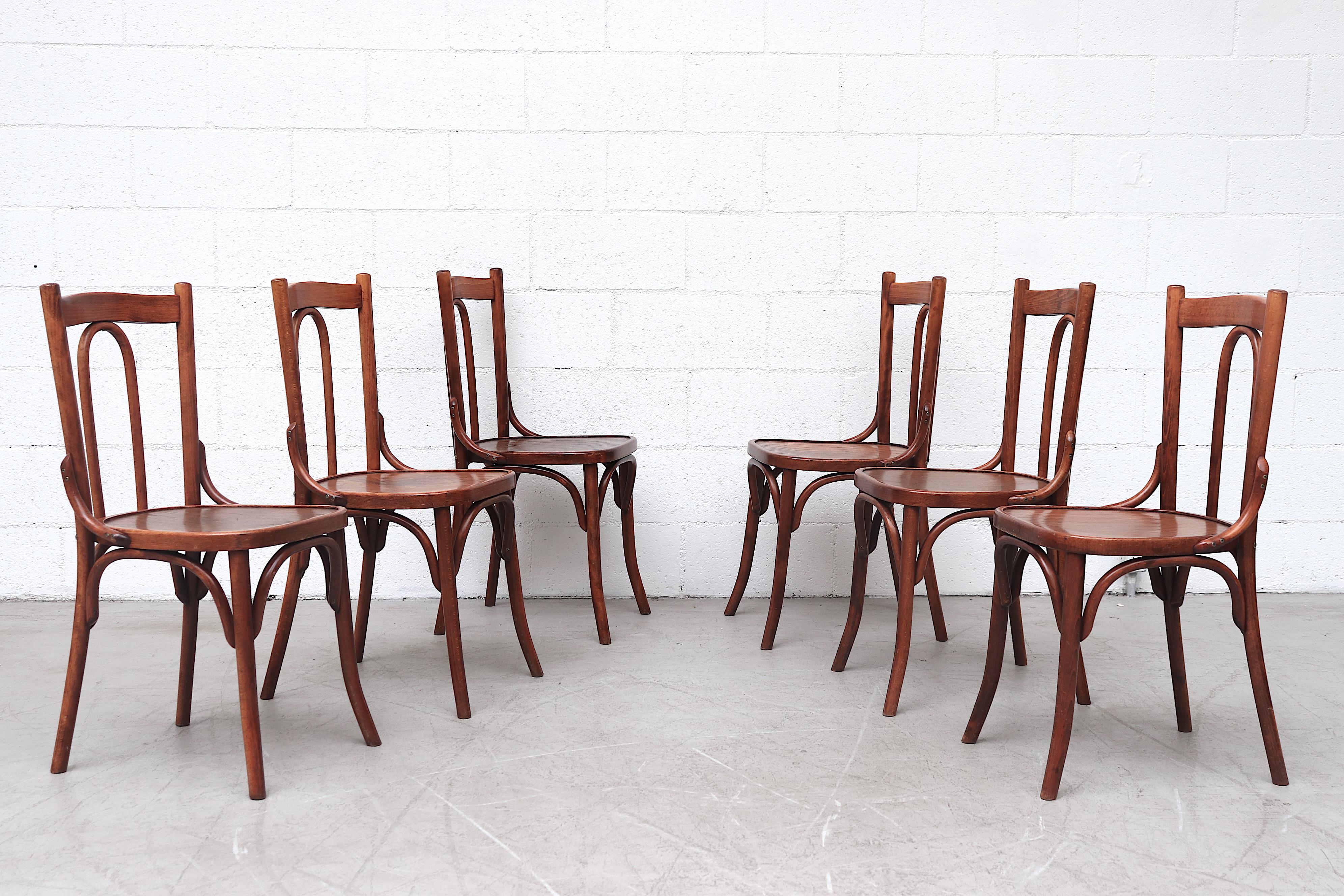 Hübsche Bistro-Stühle im Thonet-Stil mit gebogenem Rahmen aus Bugholz. Insgesamt guter Zustand mit normaler Abnutzung im Einklang mit Alter und Gebrauch. Die Farbe kann von Stuhl zu Stuhl leicht variieren. Individuelle Preisgestaltung.
