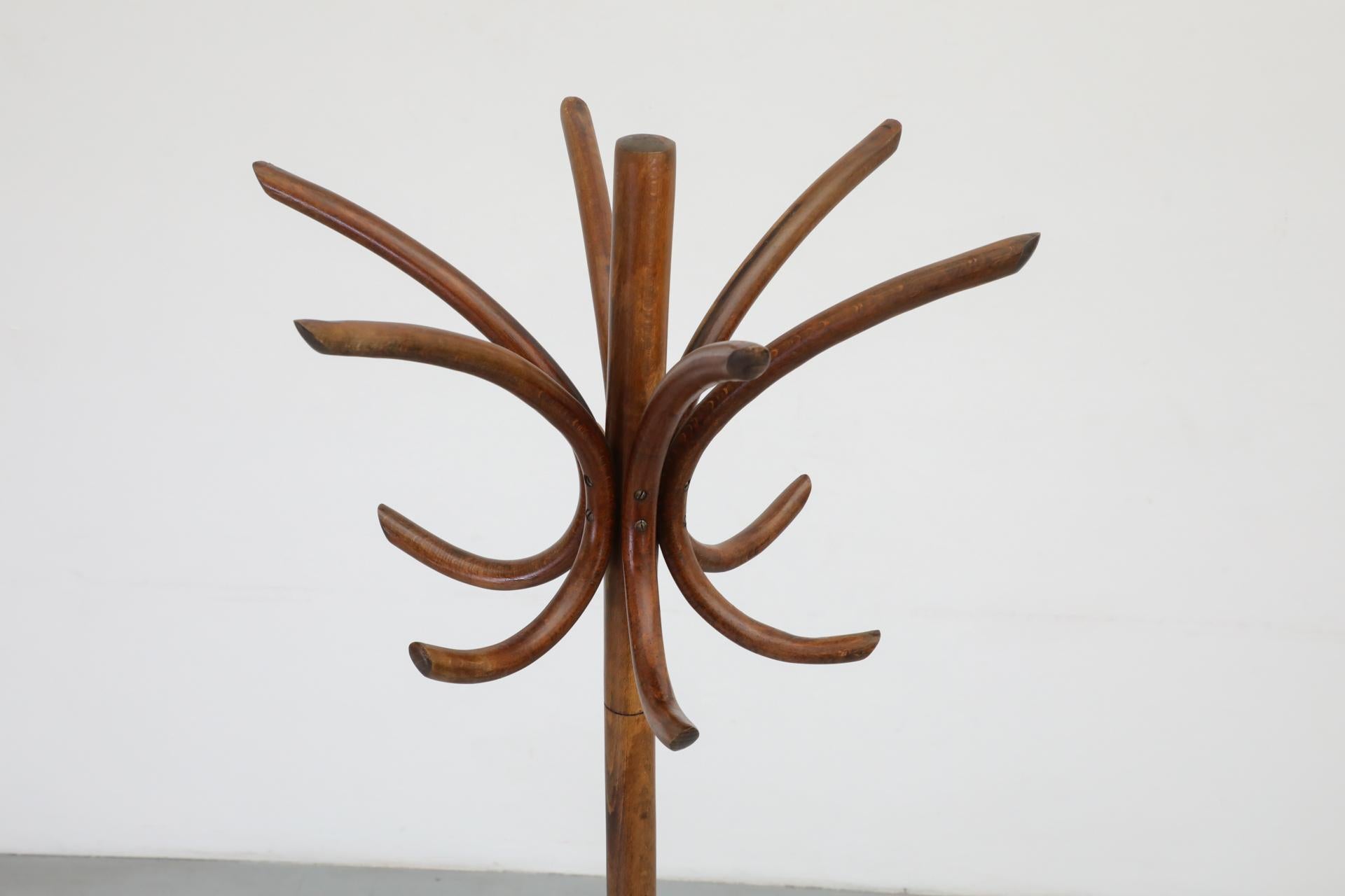 Thonet Style Teak Toned Bentwood Standing Coat Tree 9