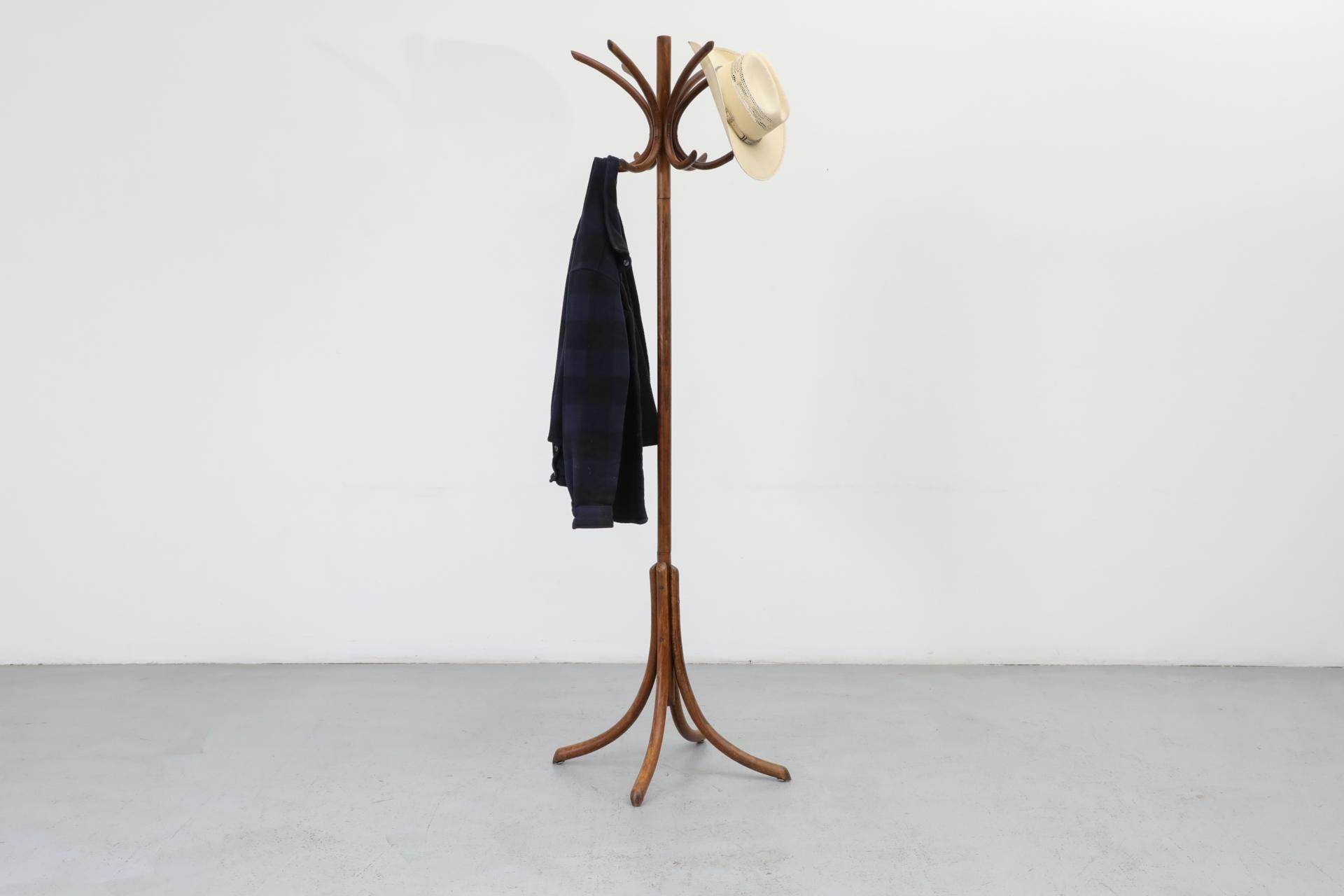 Thonet style bentwood standing coat tree with attractively curved lines, 4 legs, and 6 inverted fishhook shaped arms. The arms and legs are attached to a 3 piece post with rounded top and bottom. In original condition with wear consistent with age