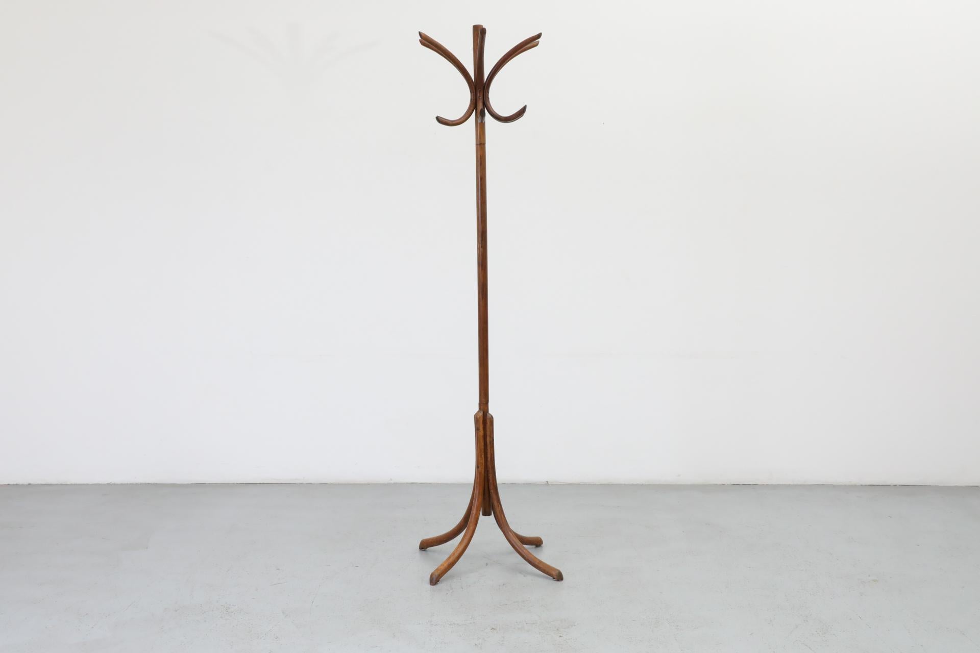 Dutch Thonet Style Teak Toned Bentwood Standing Coat Tree