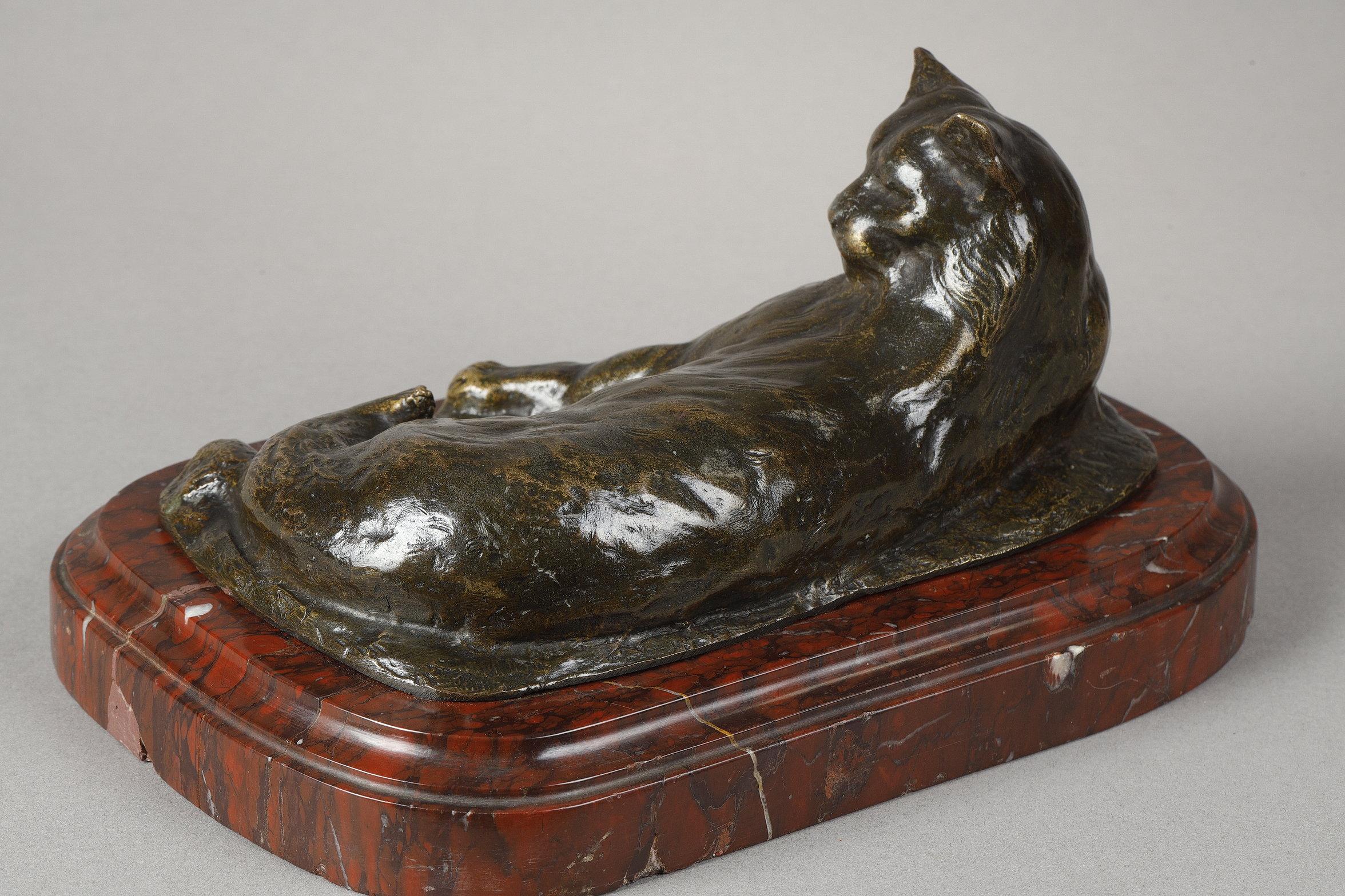 Lying Cat For Sale 5