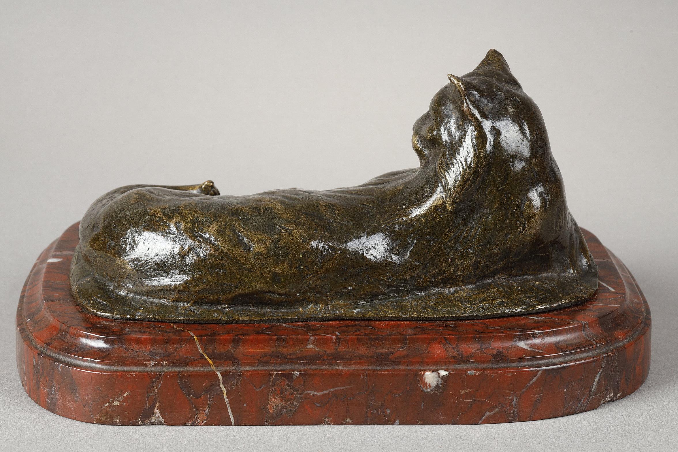 Lying Cat For Sale 6