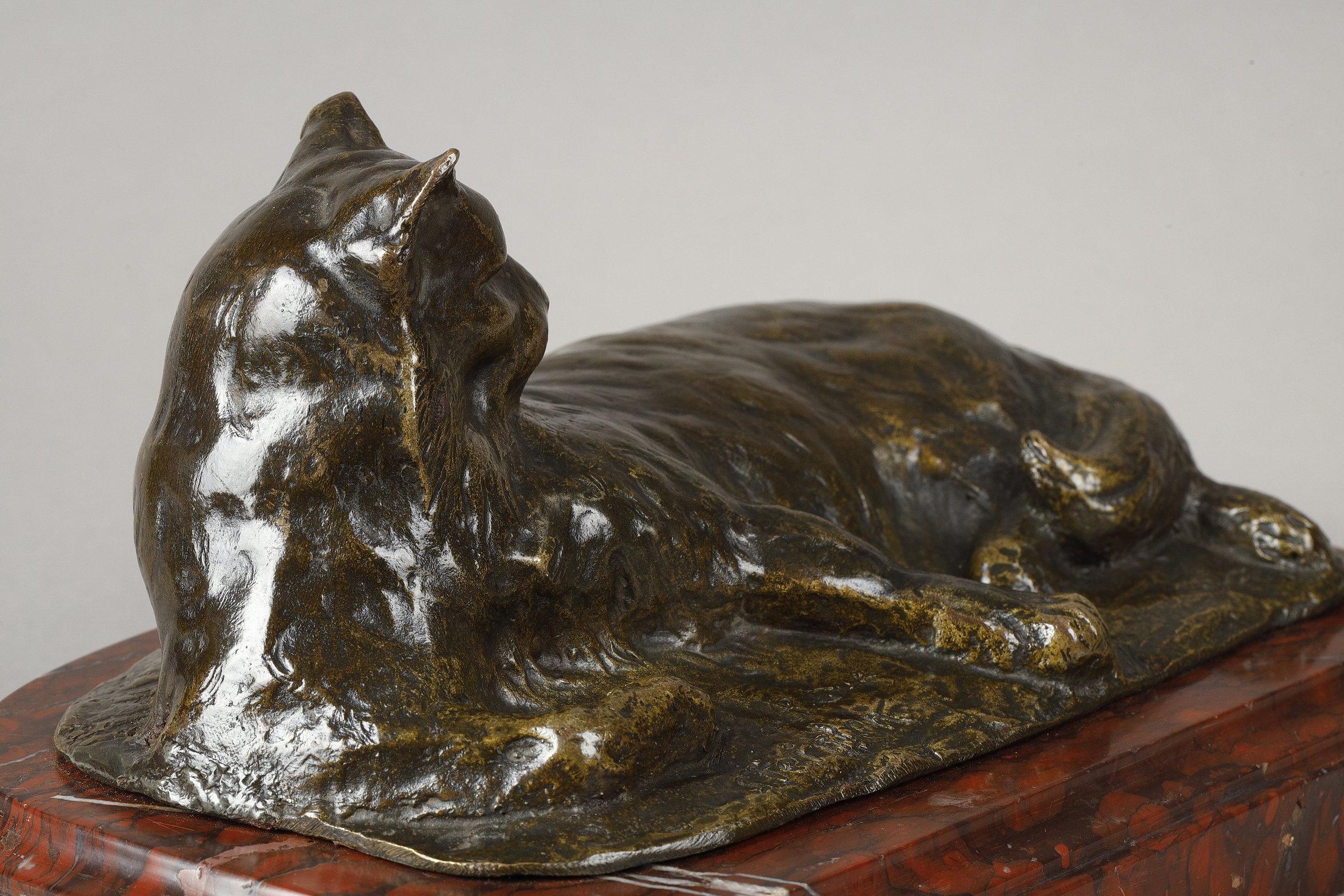 Lying Cat For Sale 7