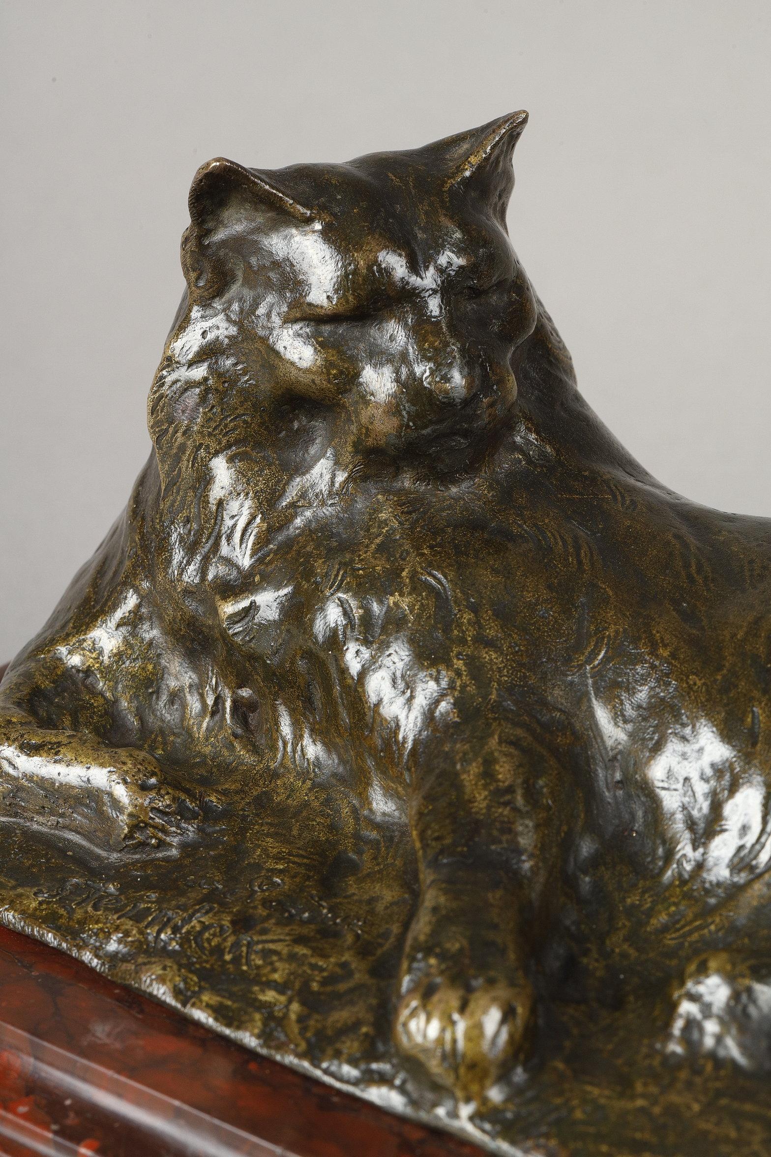 Lying Cat For Sale 1