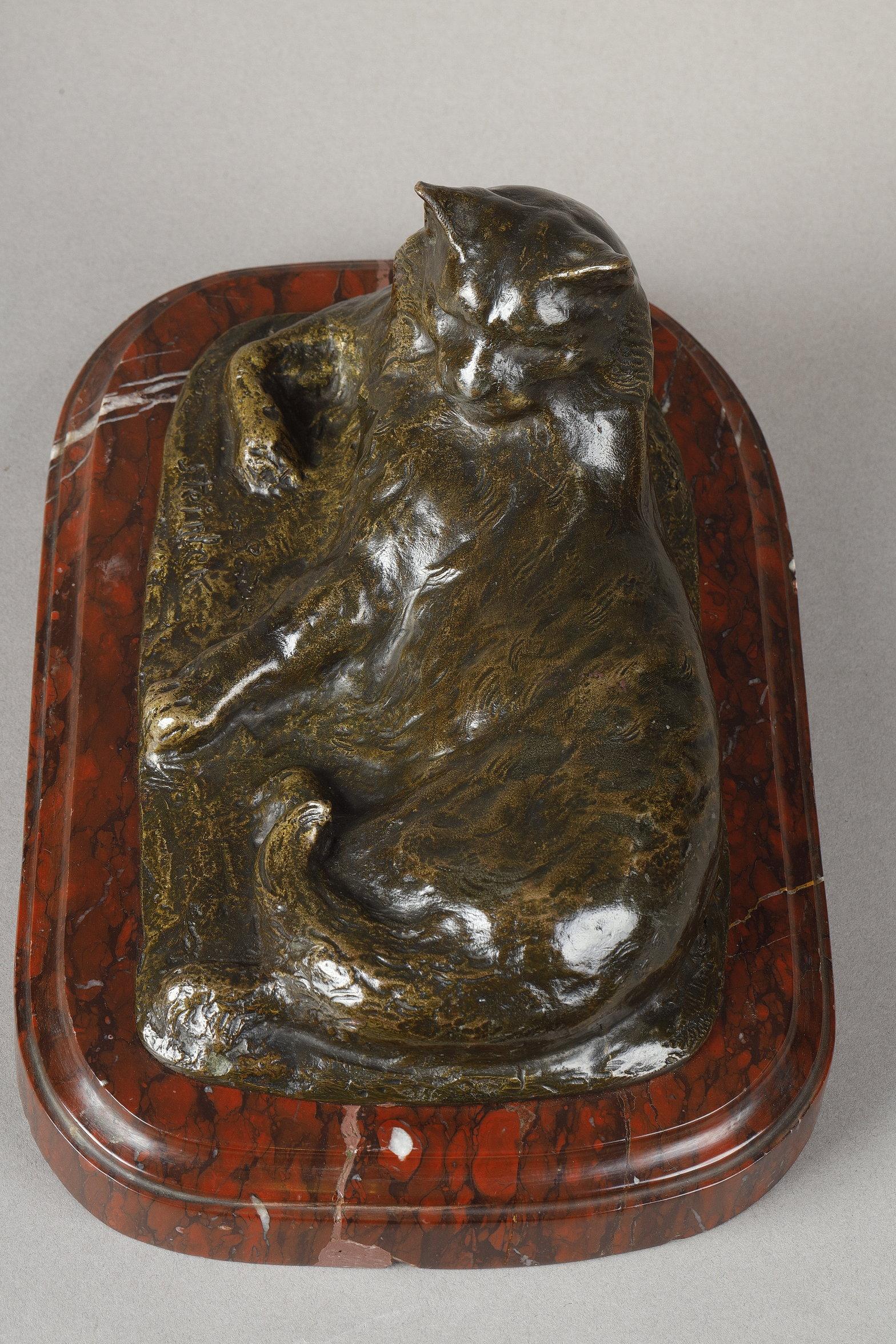 Lying Cat For Sale 3