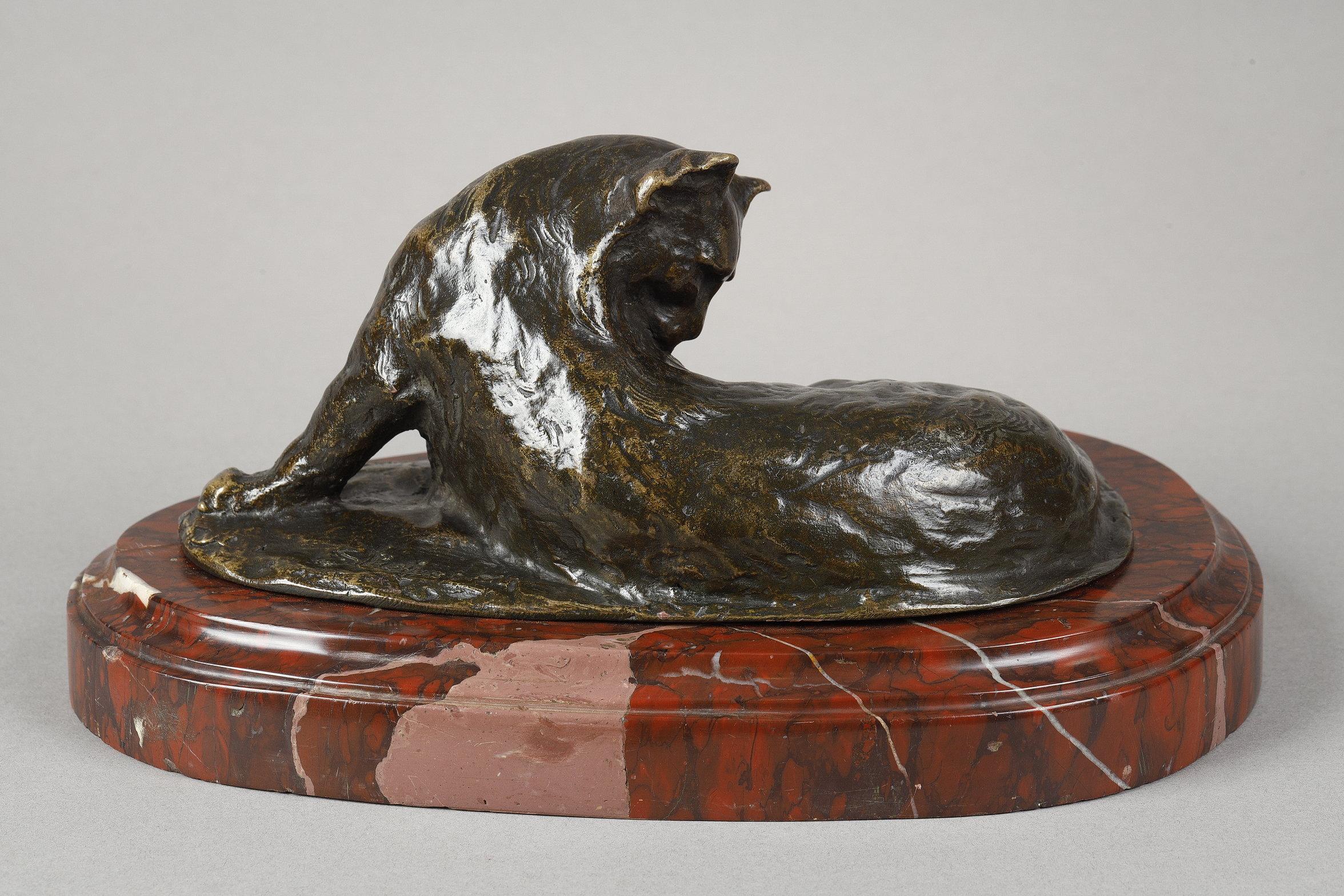 Persian Cat im Angebot 1