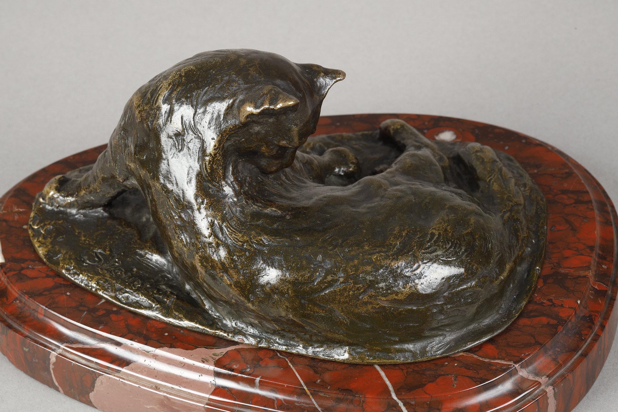 Persian Cat im Angebot 2