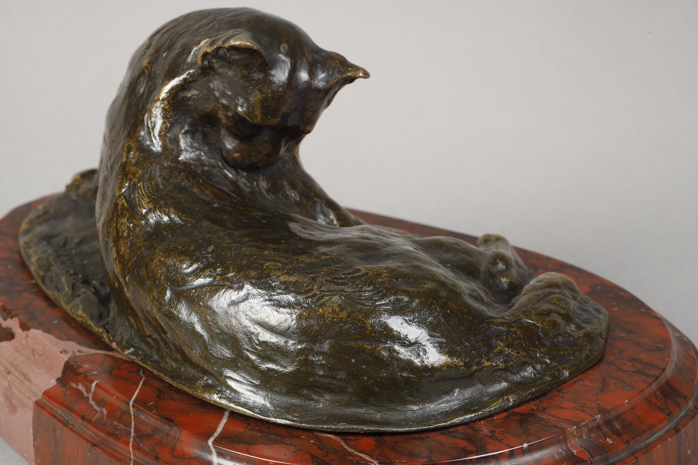 Persian Cat im Angebot 3