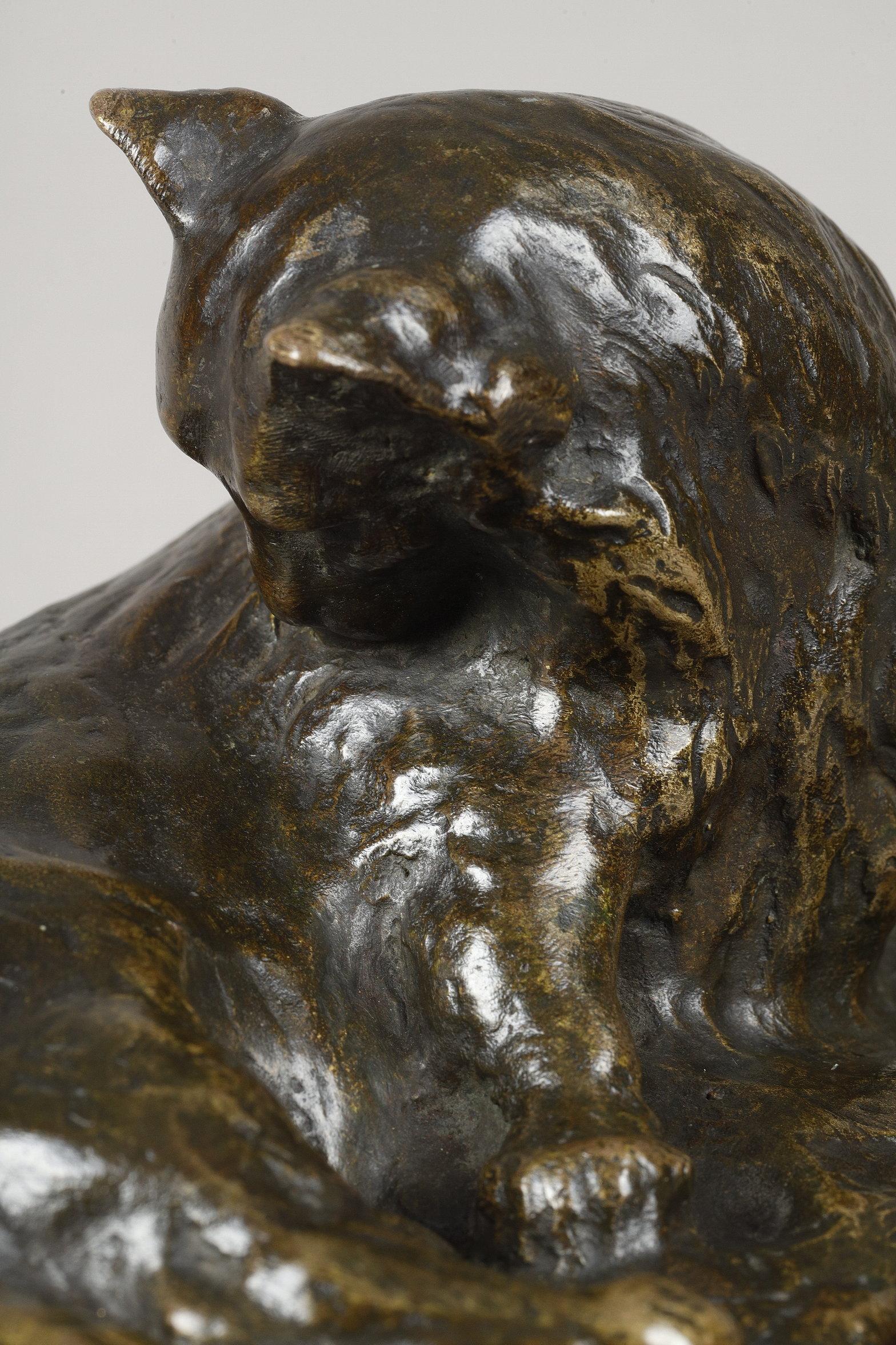 Persian Cat im Angebot 4