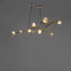 Sublimation: Thorn 100 X 9 Chandelier by Andrea Claire Studio