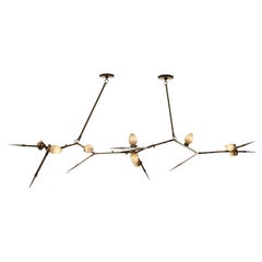 Sublimation: Thorn 100(9) Chandelier in Brass & Hand-blown Glass, Andrea Claire