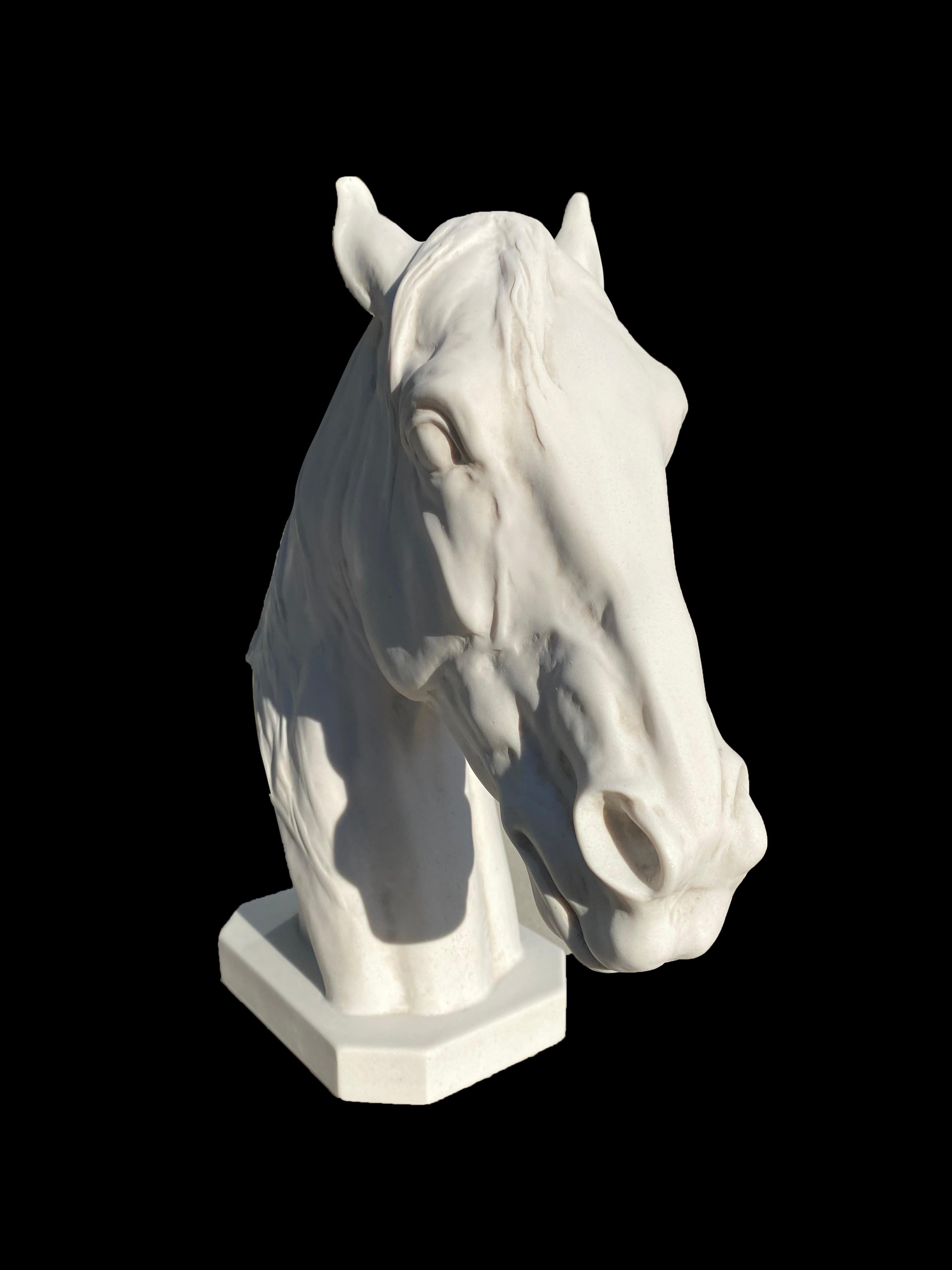 Modern Thoroughbred Horse Portrait Sculpture, 20th Century For Sale