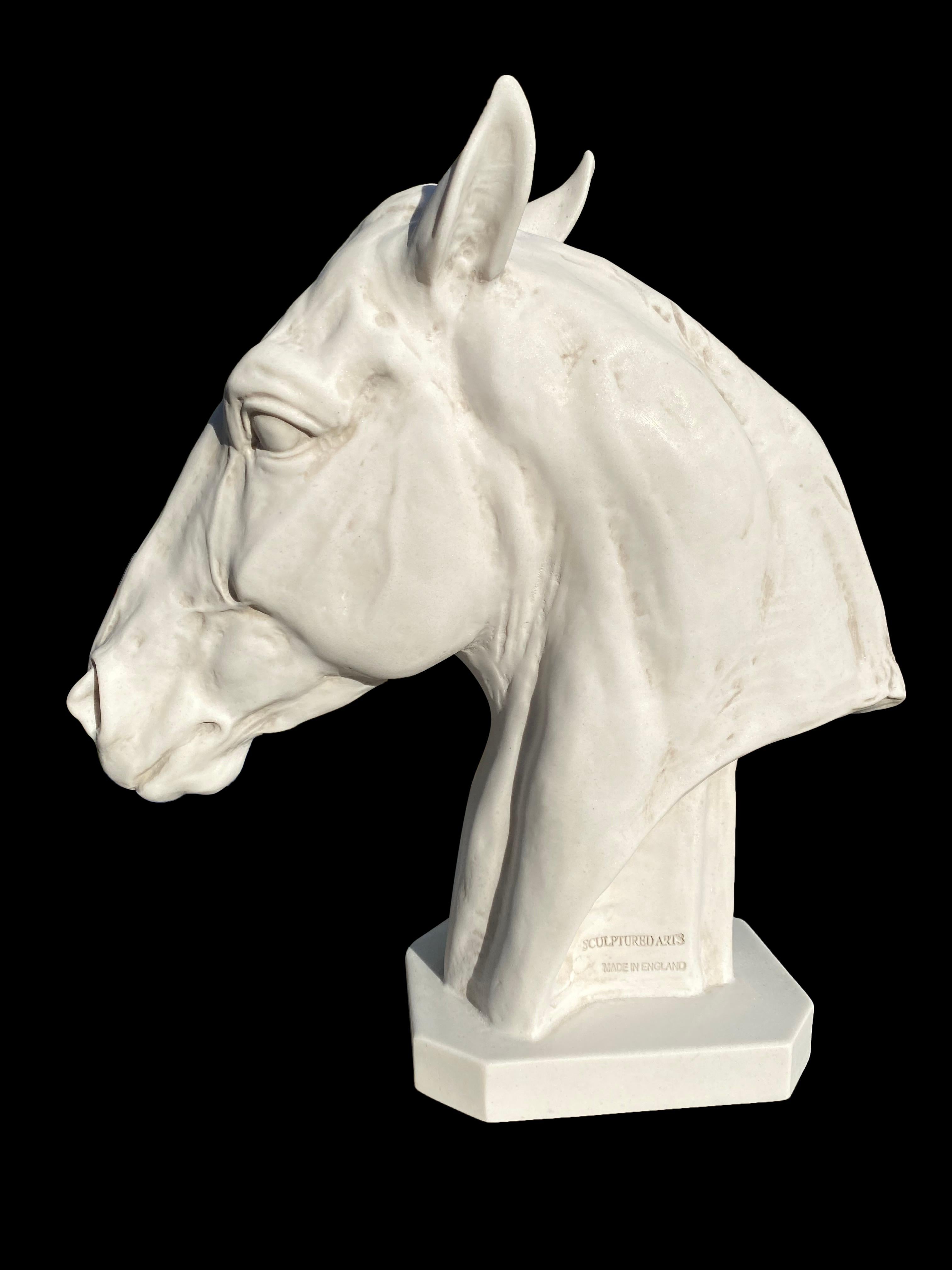 Carrara Marble Thoroughbred Horse Portrait Sculpture, 20th Century For Sale