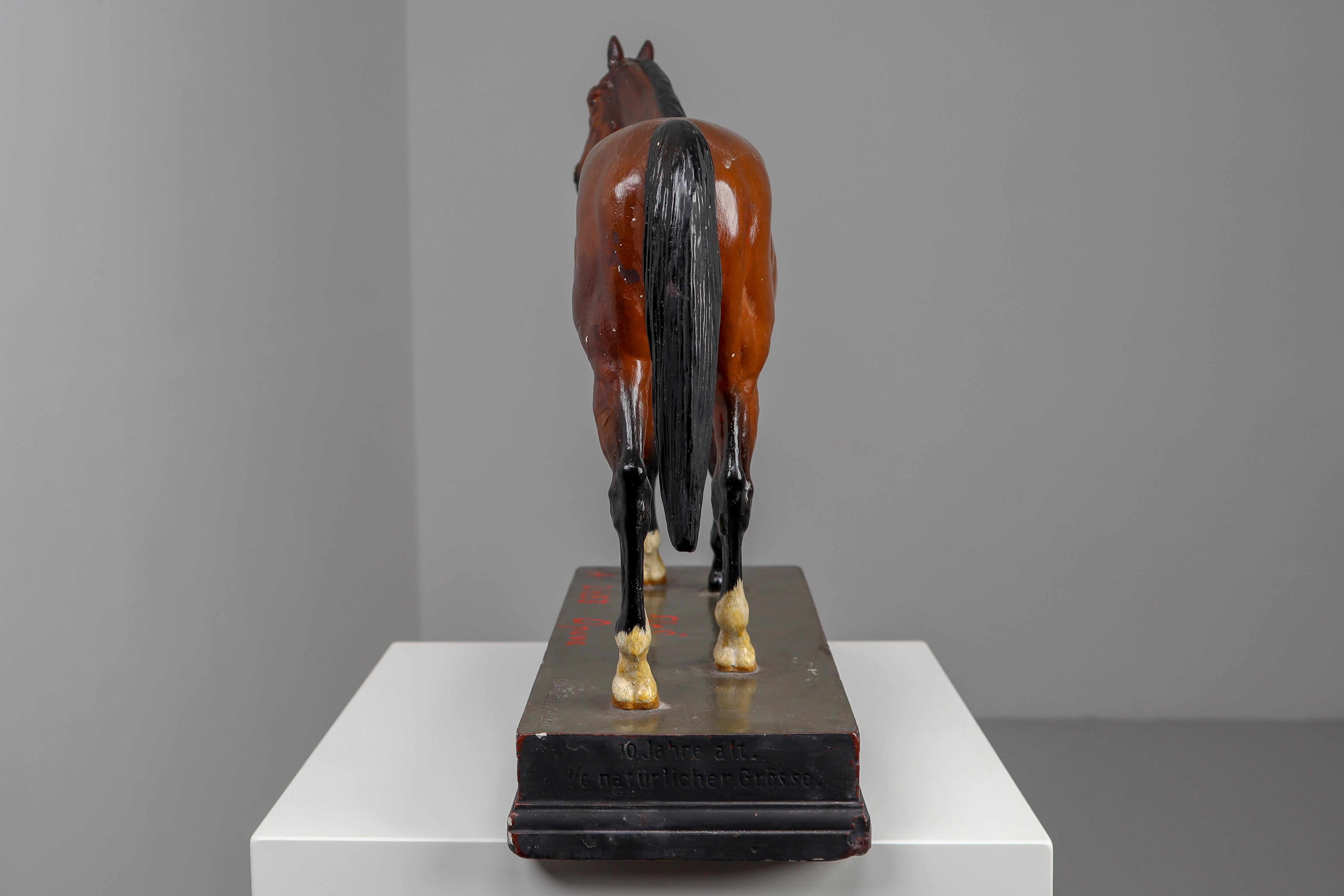 19th Century Thoroughbred Mare Horse Model in Painted Plaster by Max Landsberg, Berlin, 1891