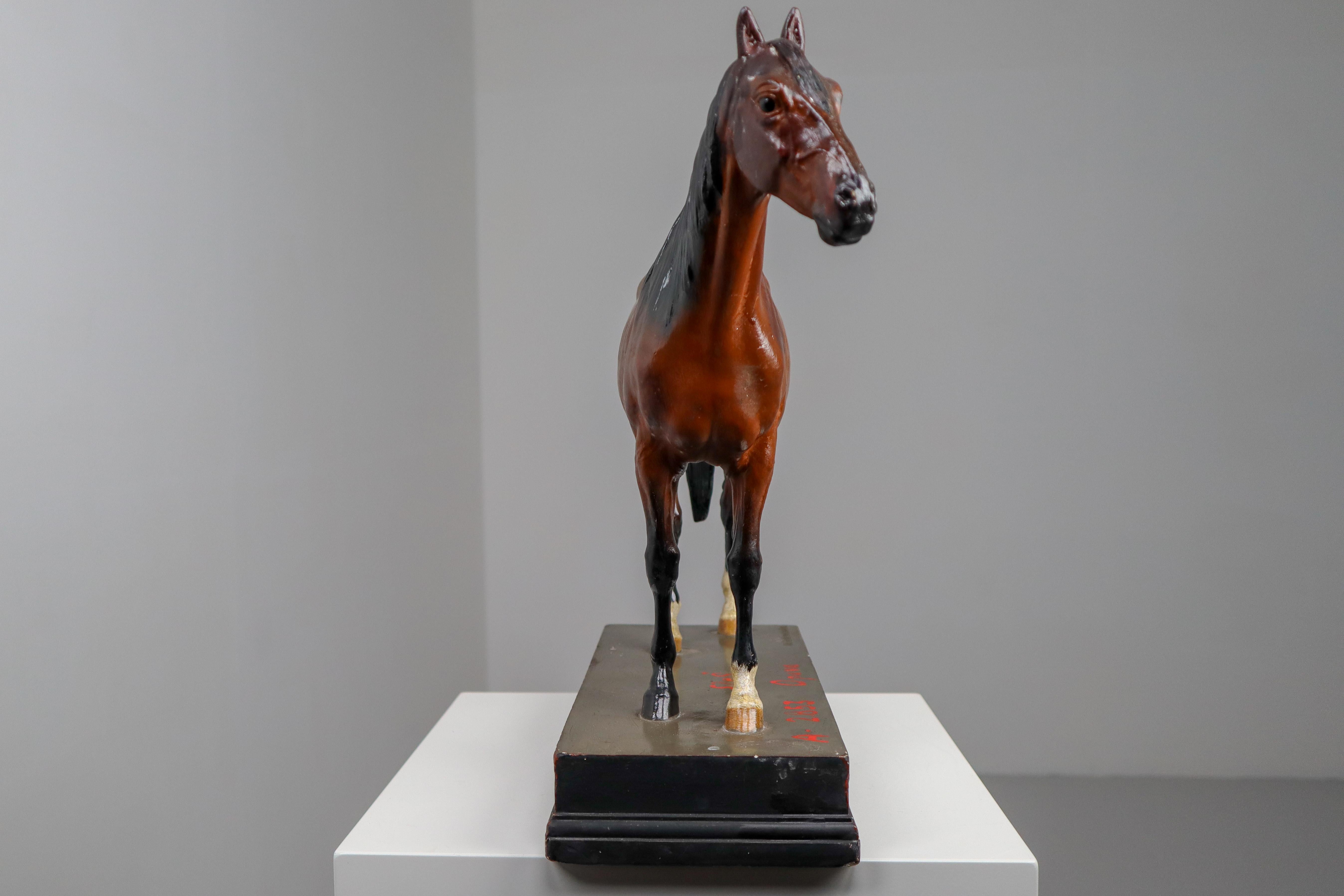 Thoroughbred Mare Horse Model in Painted Plaster by Max Landsberg, Berlin, 1891 3