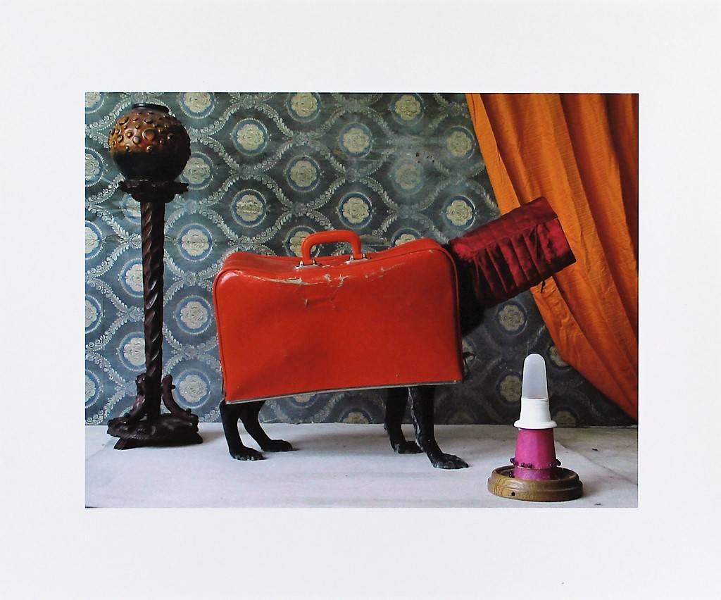 Still-Life Photograph de Thorsten Brinkmann - Der klassische Fourleg - Ernie, Retratos de un perro de estudio