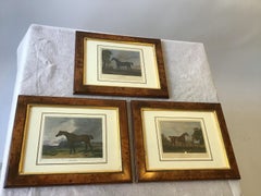 Three 1800s English Horse Prints