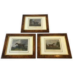 Three 1800s English Horse Prints