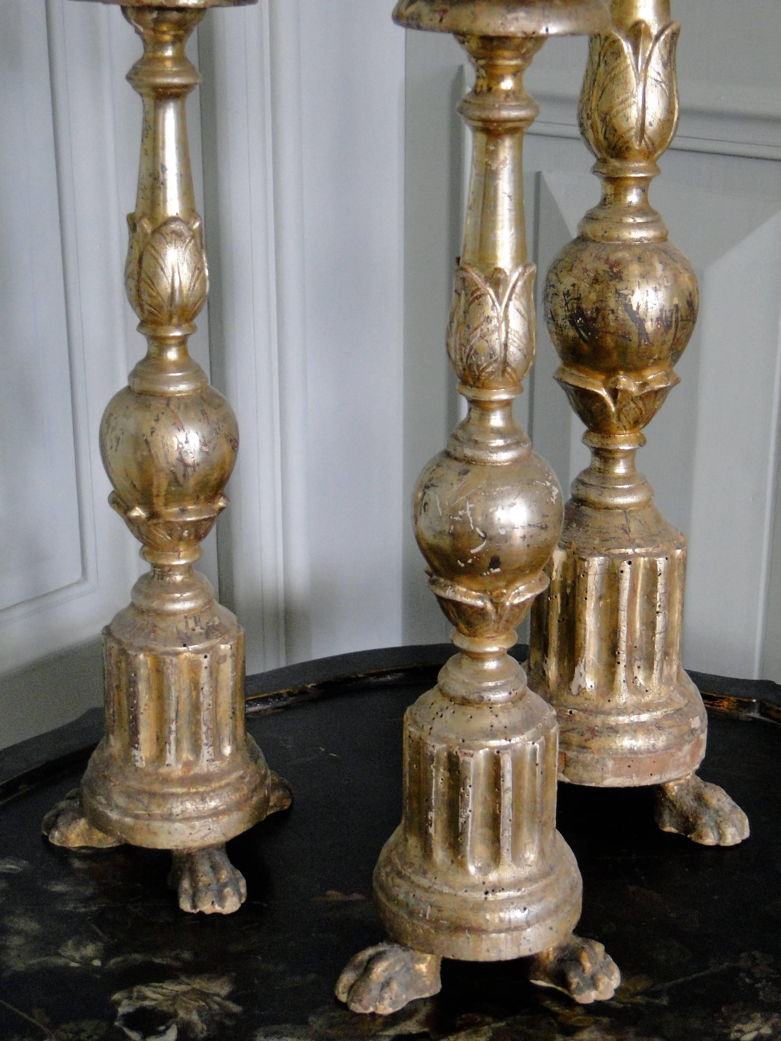 Italian Three 18th Century Giltwood Candlesticks