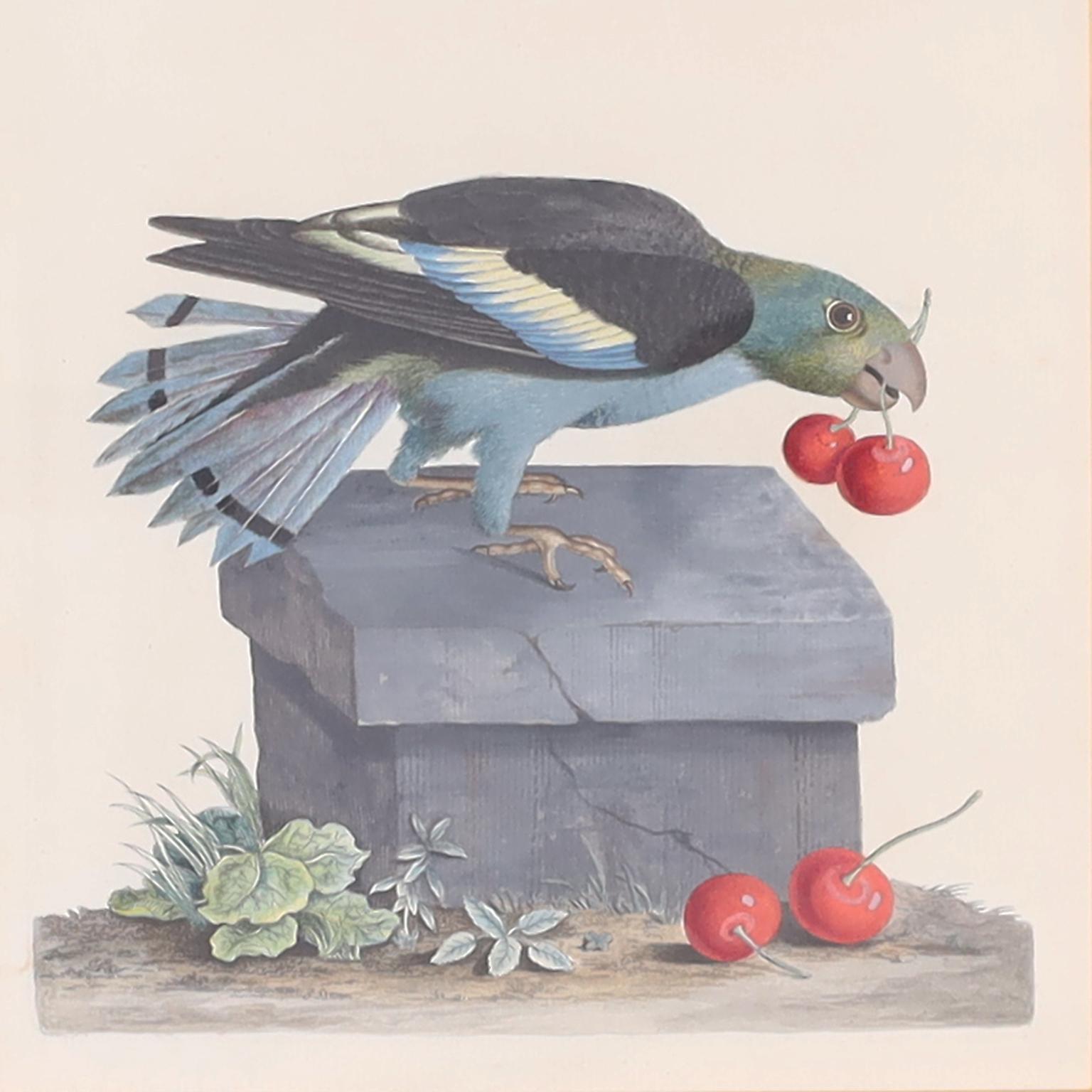 Trois gravures d'oiseaux antiques colorées à la main en vente 2