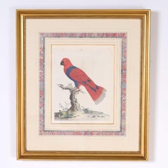 Three Antique Hand Colored Engravings of Birds