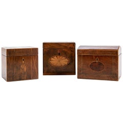 Three Antique Mahogany Tea Caddies