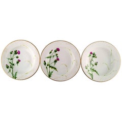 Three Antique Royal Copenhagen Plates Hand-Painted in High Quality