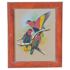 Three black-caped lories. Watercolour or watercolor, framed. 20th century.