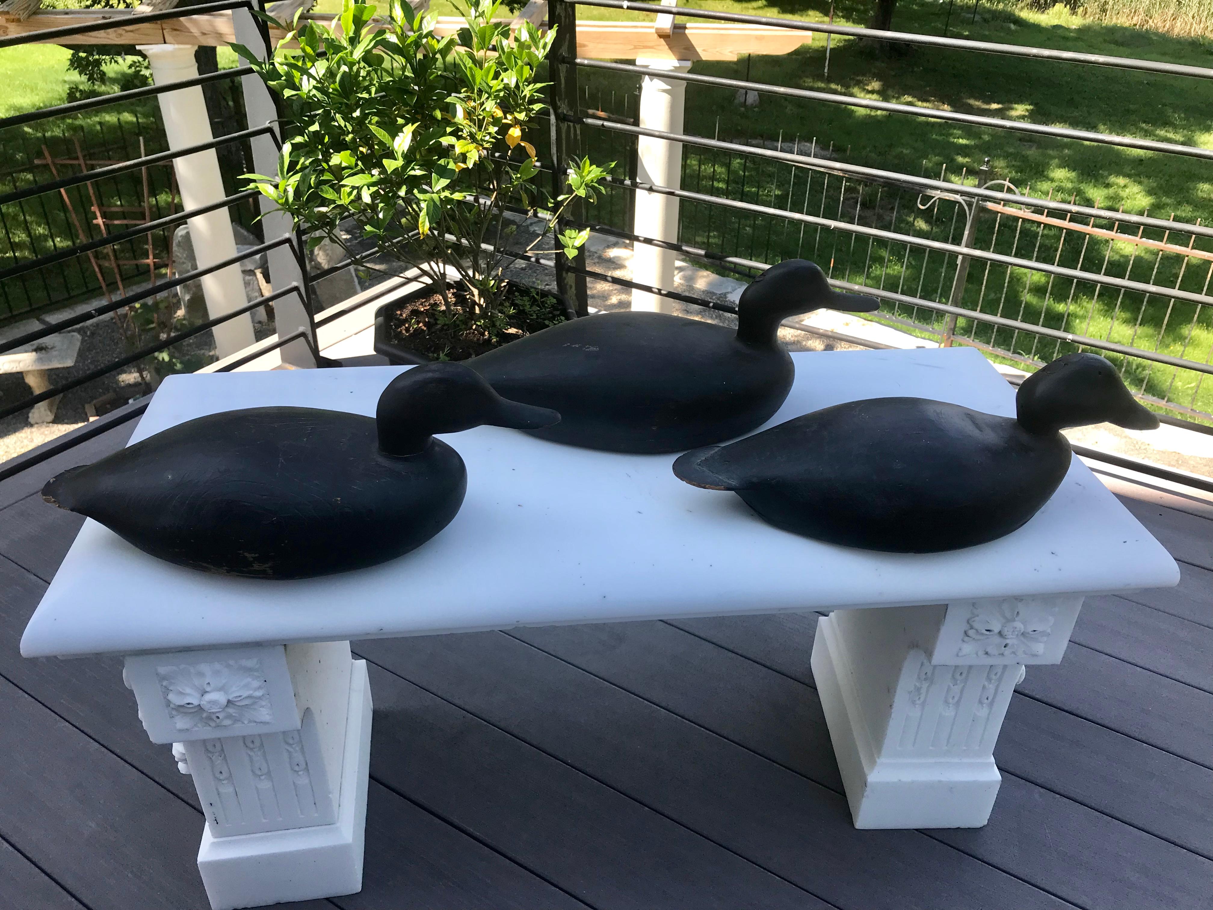 black duck decoys for sale