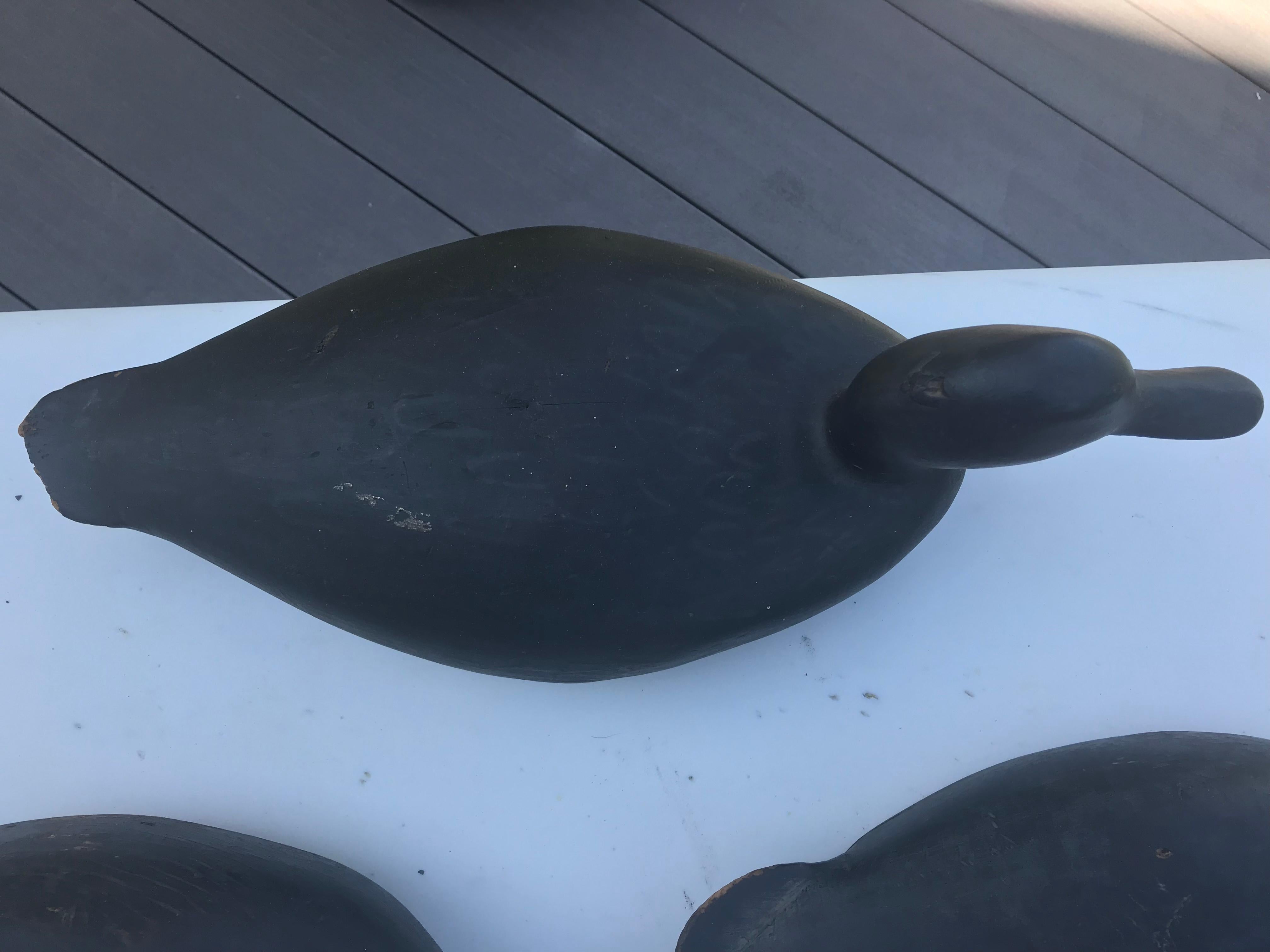 Carved Three Black Duck Decoys Martha's Vineyard by Ben Smith, circa 1900