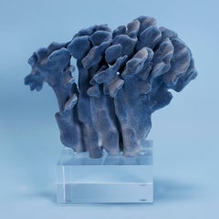 Blaue Koralle Skulptur auf Lucite