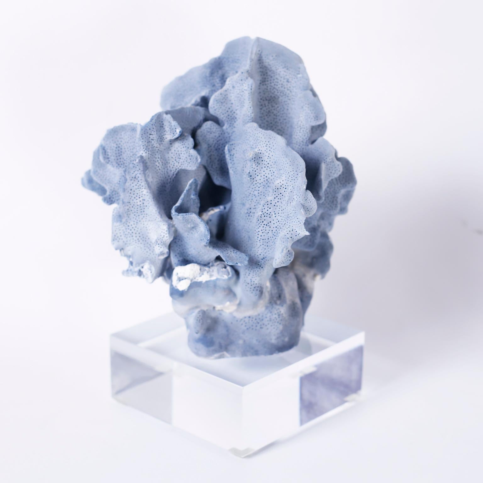 Blue Coral Specimens on Lucite 1