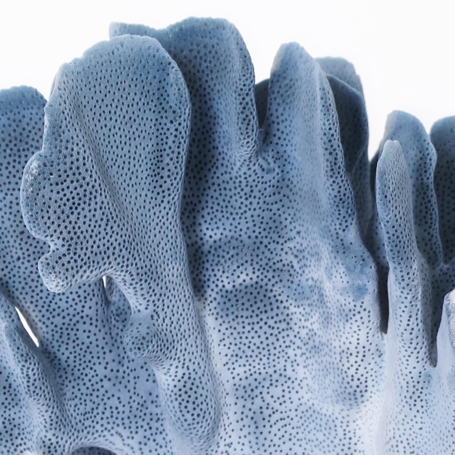 Three Blue Coral Specimens on Lucite, Priced Individually 3