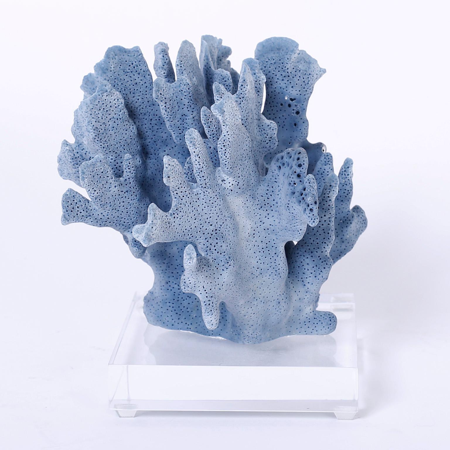 Here are three blue coral specimens each with its own organic sea inspired form, texture, and alluring blue colors. Presented on Lucite stands to enhance the sculptural elements. Priced individually. 

Measures: From left to right:

Ref: BL07 H 7.5,