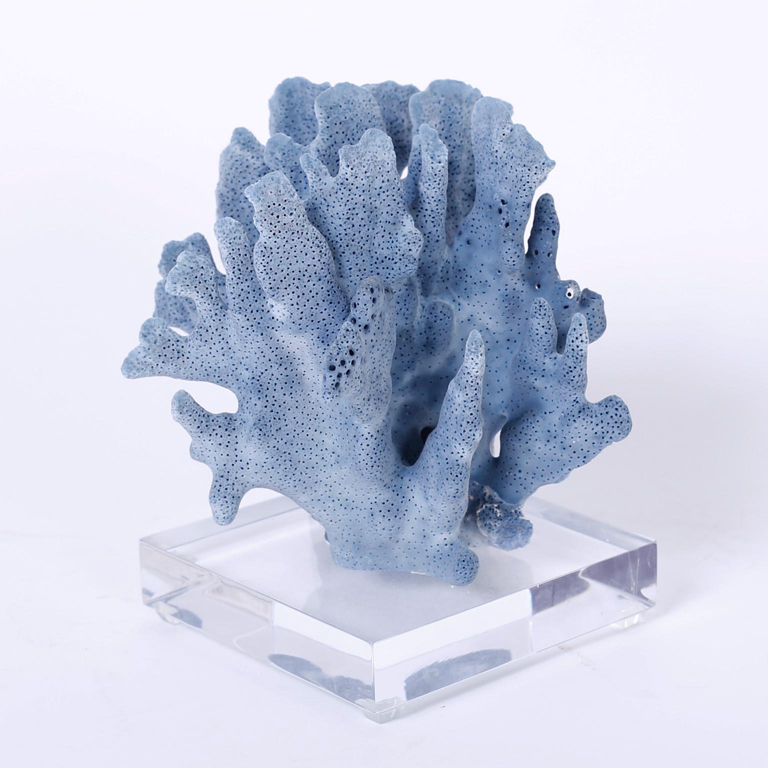 Organic Modern Three Blue Coral Specimens on Lucite
