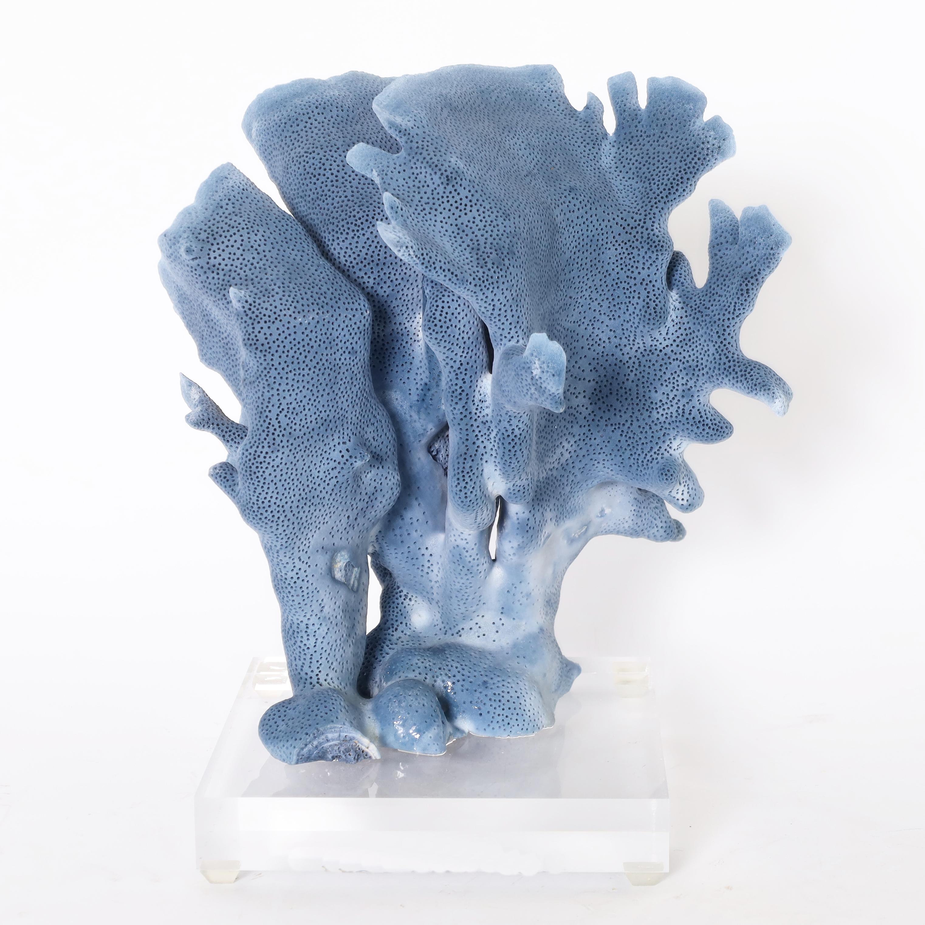 Organic Modern Three Blue Coral Specimens on Lucite, Priced Individually