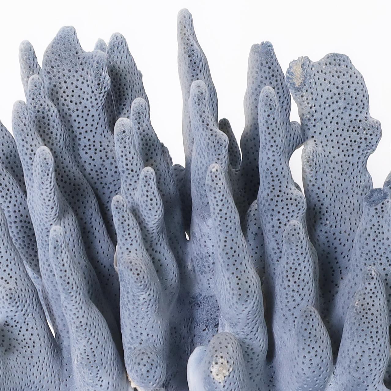 Contemporary Three Blue Coral Specimens on Lucite, Priced Individually