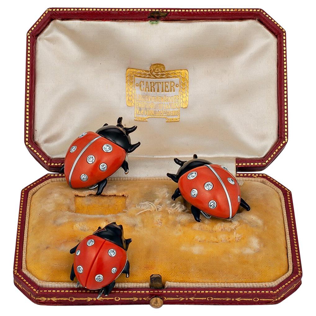 Ladybugs symbolize luck and, in this case, three times the karma.  With a trio of rare Cartier London and Paris diamond coral enamel and gold ladybug brooches on your lapel, you will have hit the lottery.  The two larger ladybugs are approximately 1