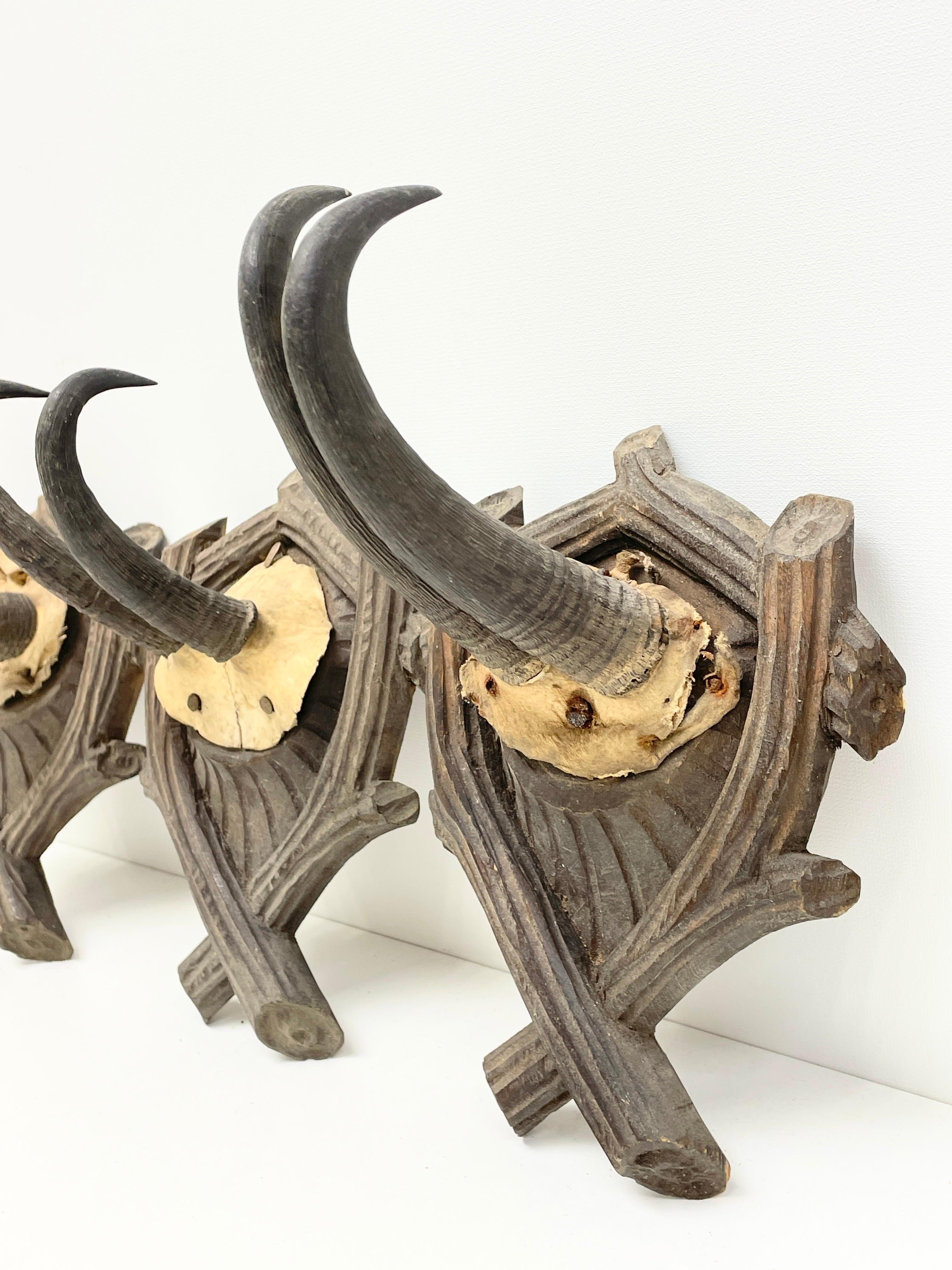 Drei Chamois Antler Mount Trophäe auf geschnitzter Holzplakette aus Schwarzwälder Holzplatte Österreich im Zustand „Gut“ im Angebot in Nuernberg, DE