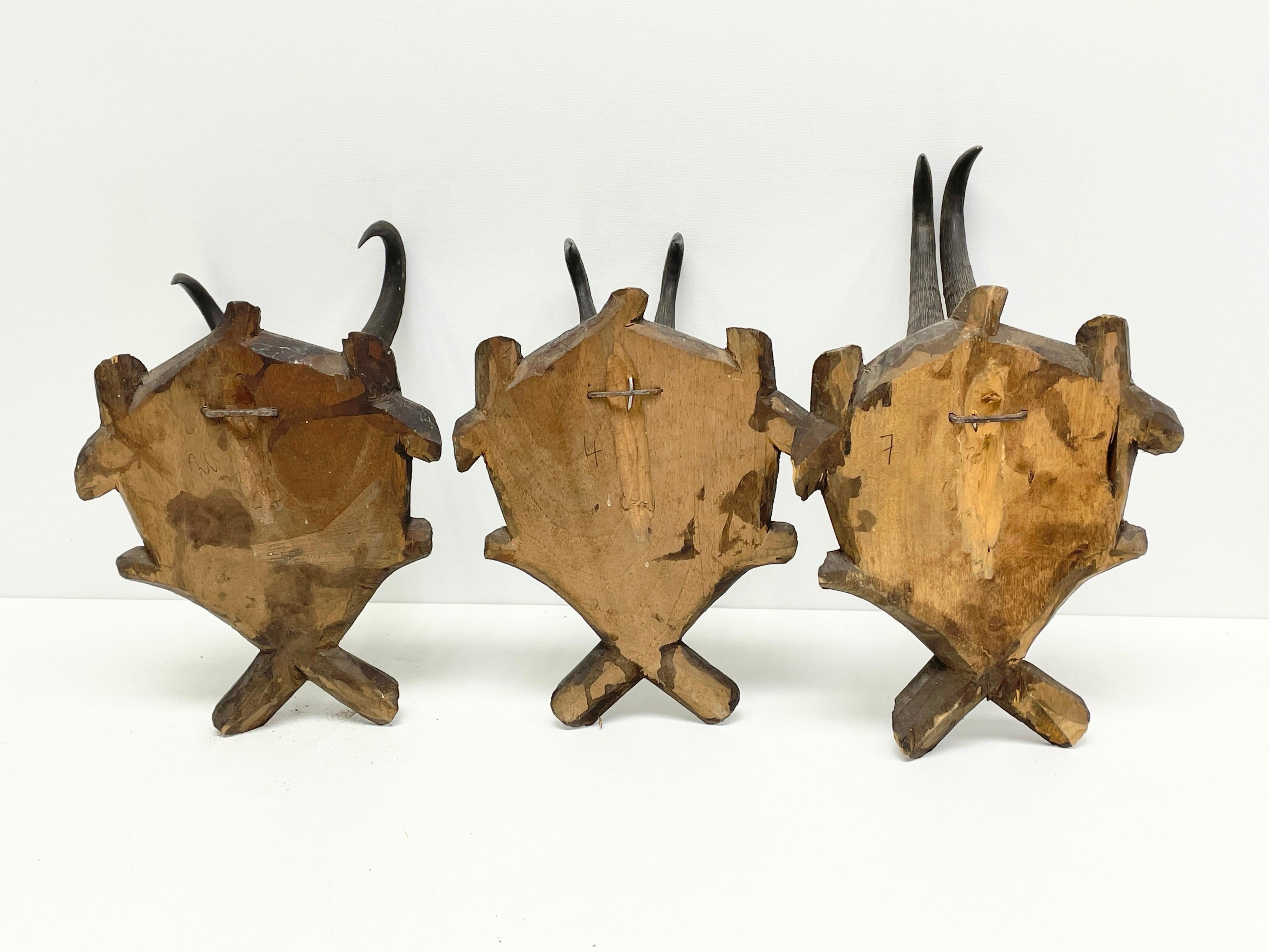 Drei Chamois Antler Mount Trophäe auf geschnitzter Holzplakette aus Schwarzwälder Holzplatte Österreich im Angebot 1