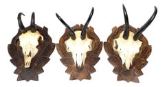 Three Chamois Mounts Trophy on Wood Carved Black Forest Plaque, German, 1930s