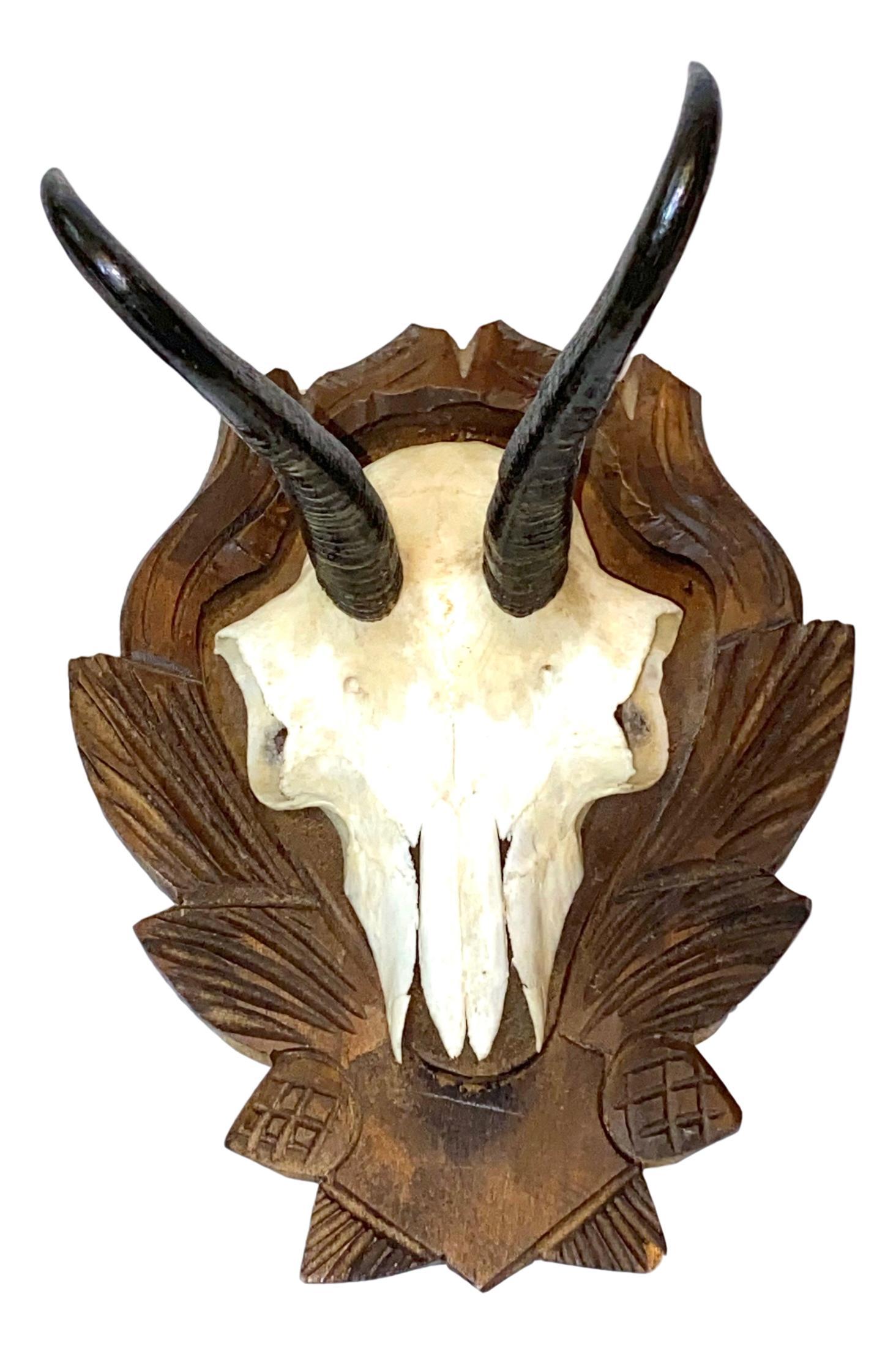 Hand-Carved Three Chamois Mounts Trophy on Wood Carved Black Forest Plaque, German, 1930s