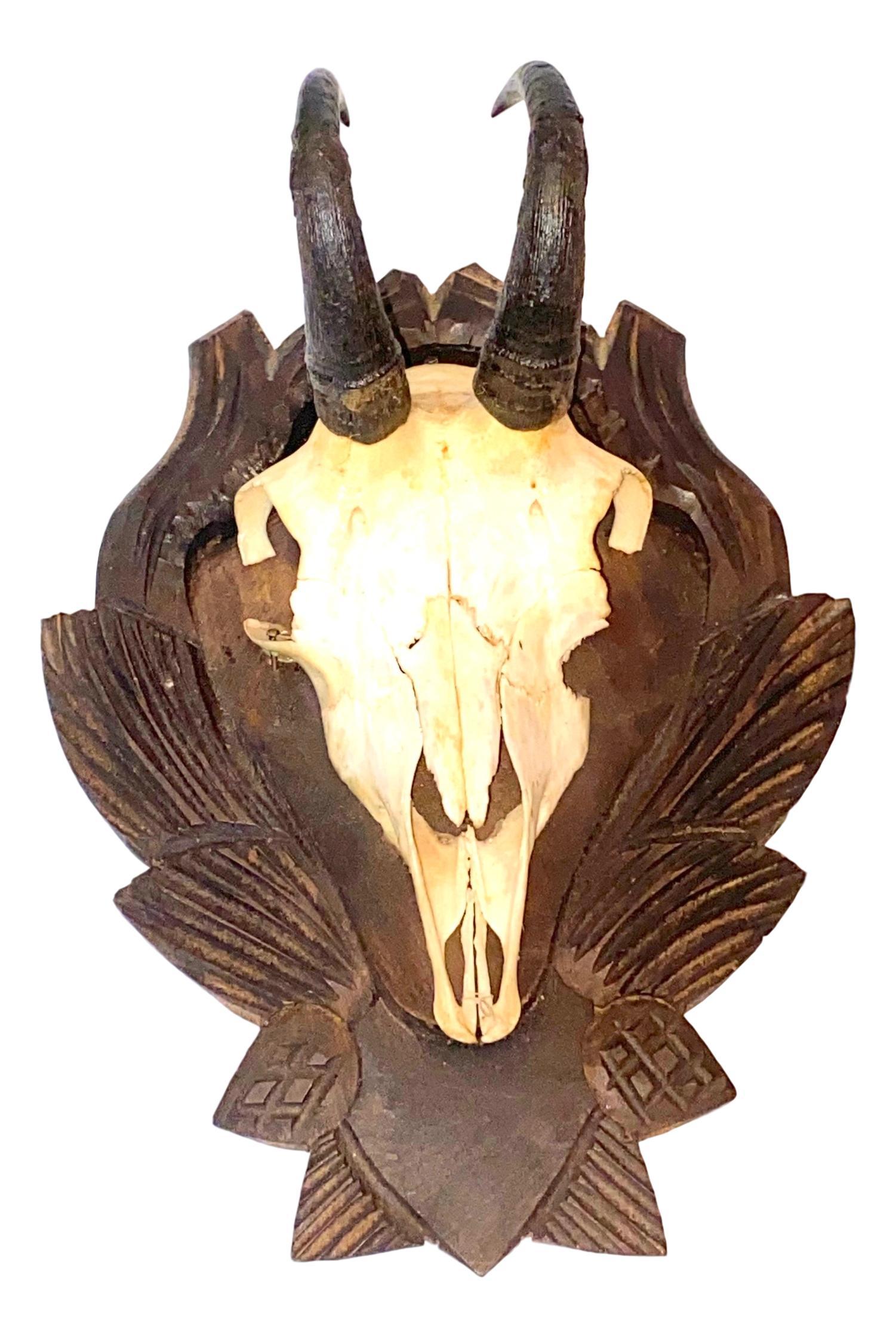 Three Chamois Mounts Trophy on Wood Carved Black Forest Plaque, German, 1930s In Good Condition In Nuernberg, DE