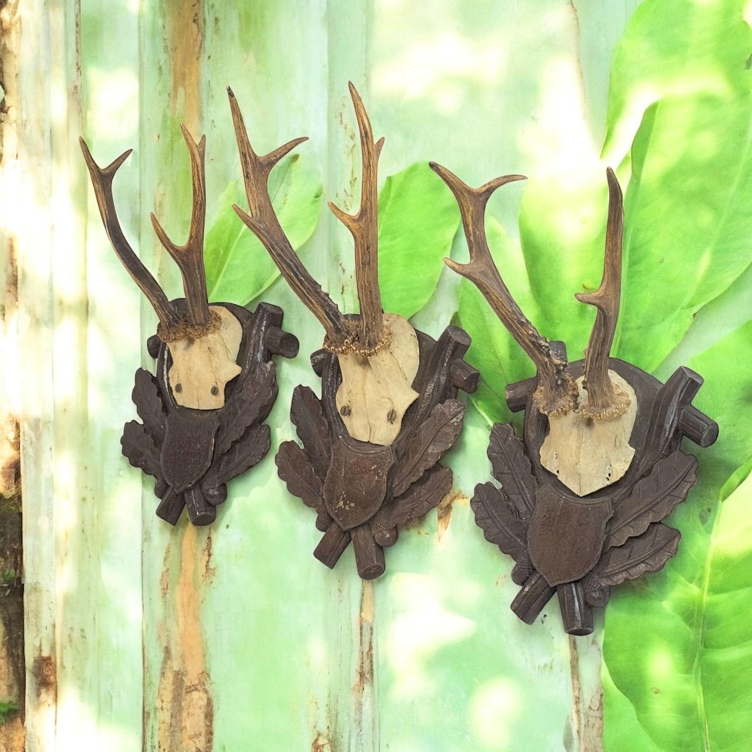 Three Deer Antler Mount Trophy Black Forest on Wood Plaque Austria Folk Art 1930 For Sale 4