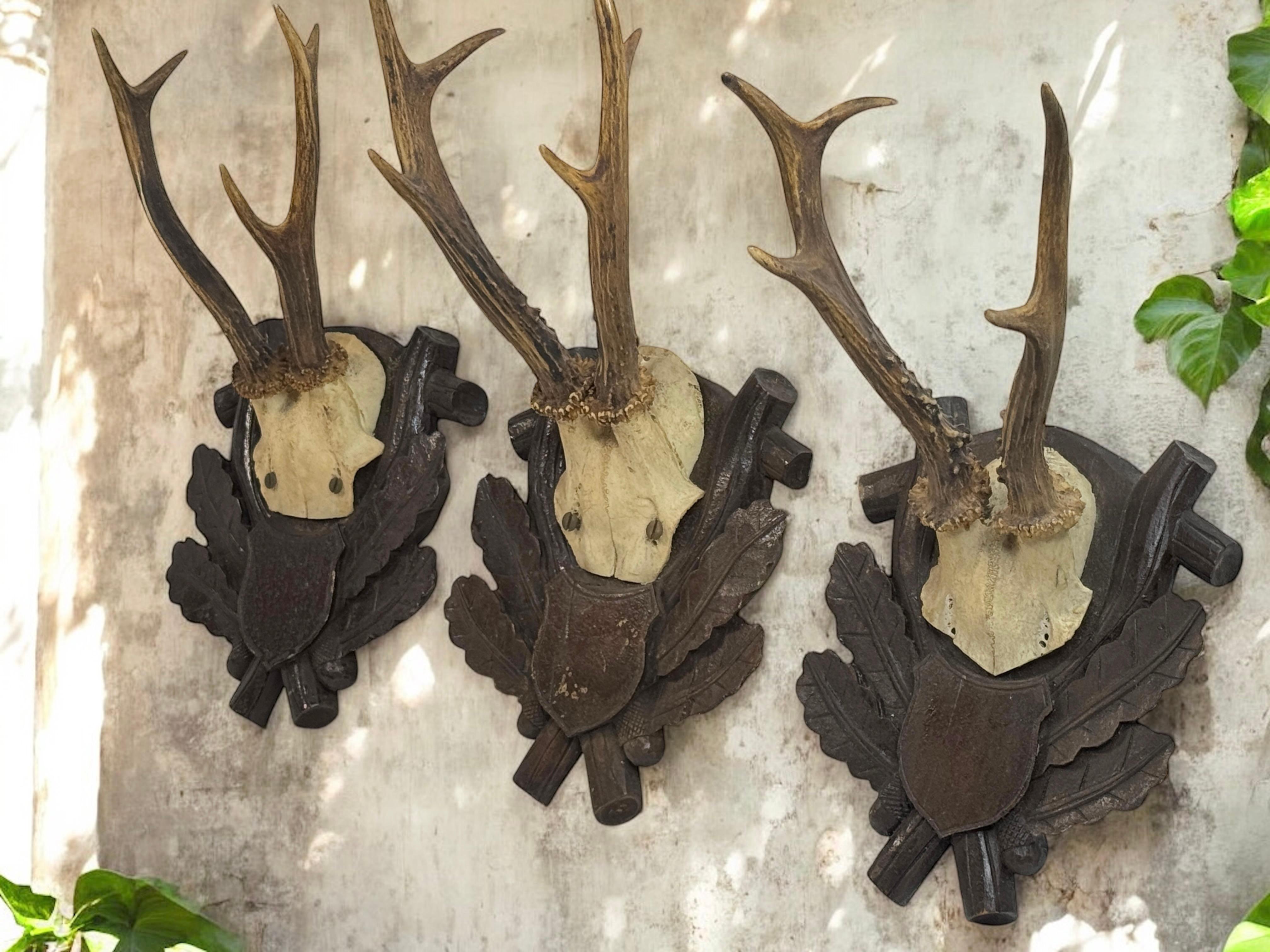 Three Deer Antler Mount Trophy Black Forest on Wood Plaque Austria Folk Art 1930 For Sale 5